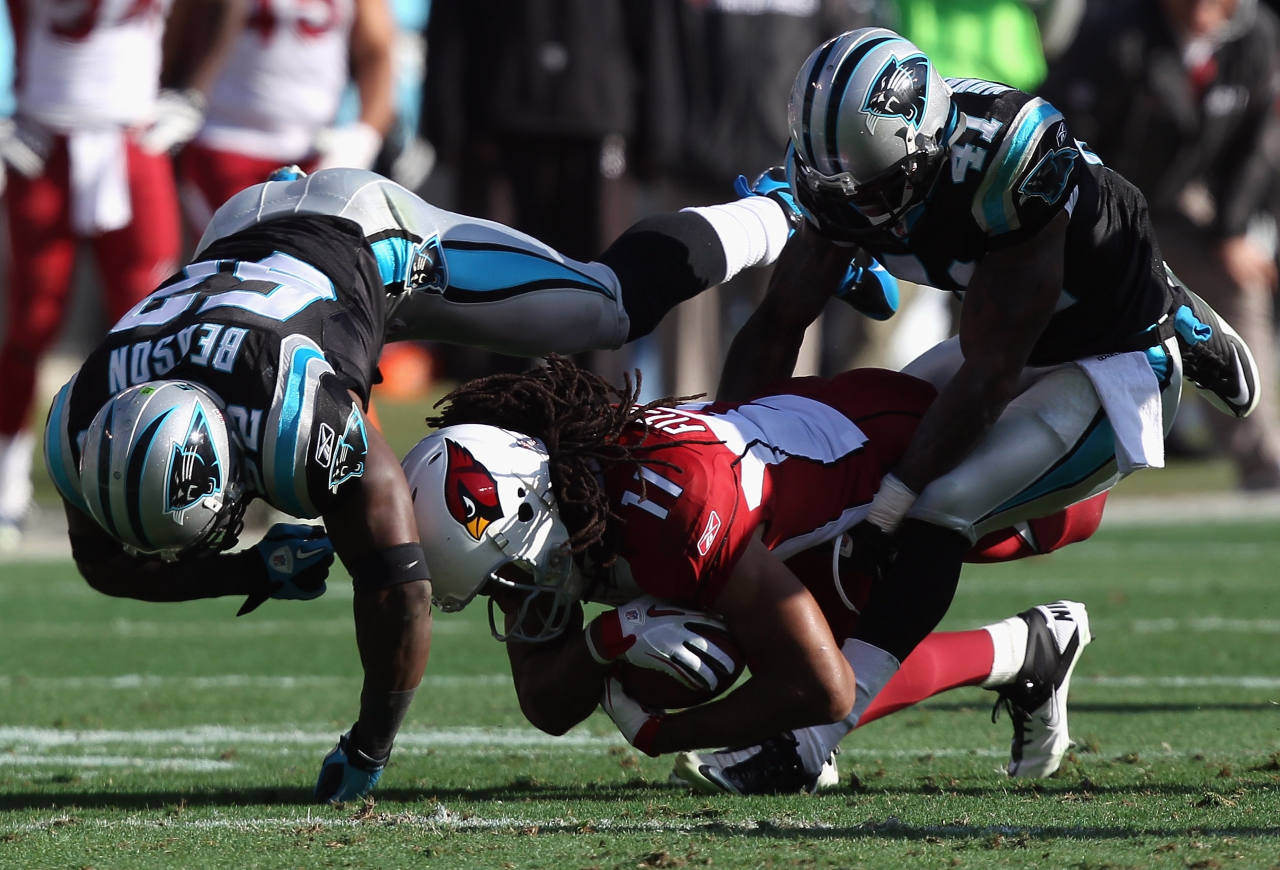 CHARLOTTE, NC - DECEMBER 19:  Larry Fitzgerald #11 of the Arizona Cardinals is tackled by teammates Captain Munnerlyn #41 and Jon Beason #52 of the Carolina Panthers during their game at Bank of America Stadium on December 19, 2010 in Charlotte, North Car