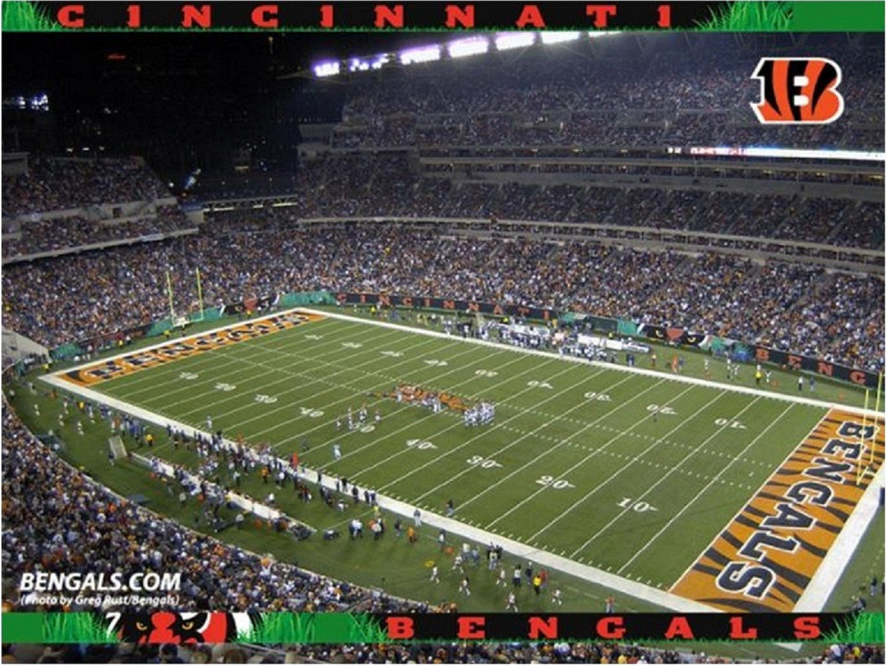 Bengals vs. Packers October 30, 2005: Fan Steals Ball From Brett Favre, News, Scores, Highlights, Stats, and Rumors