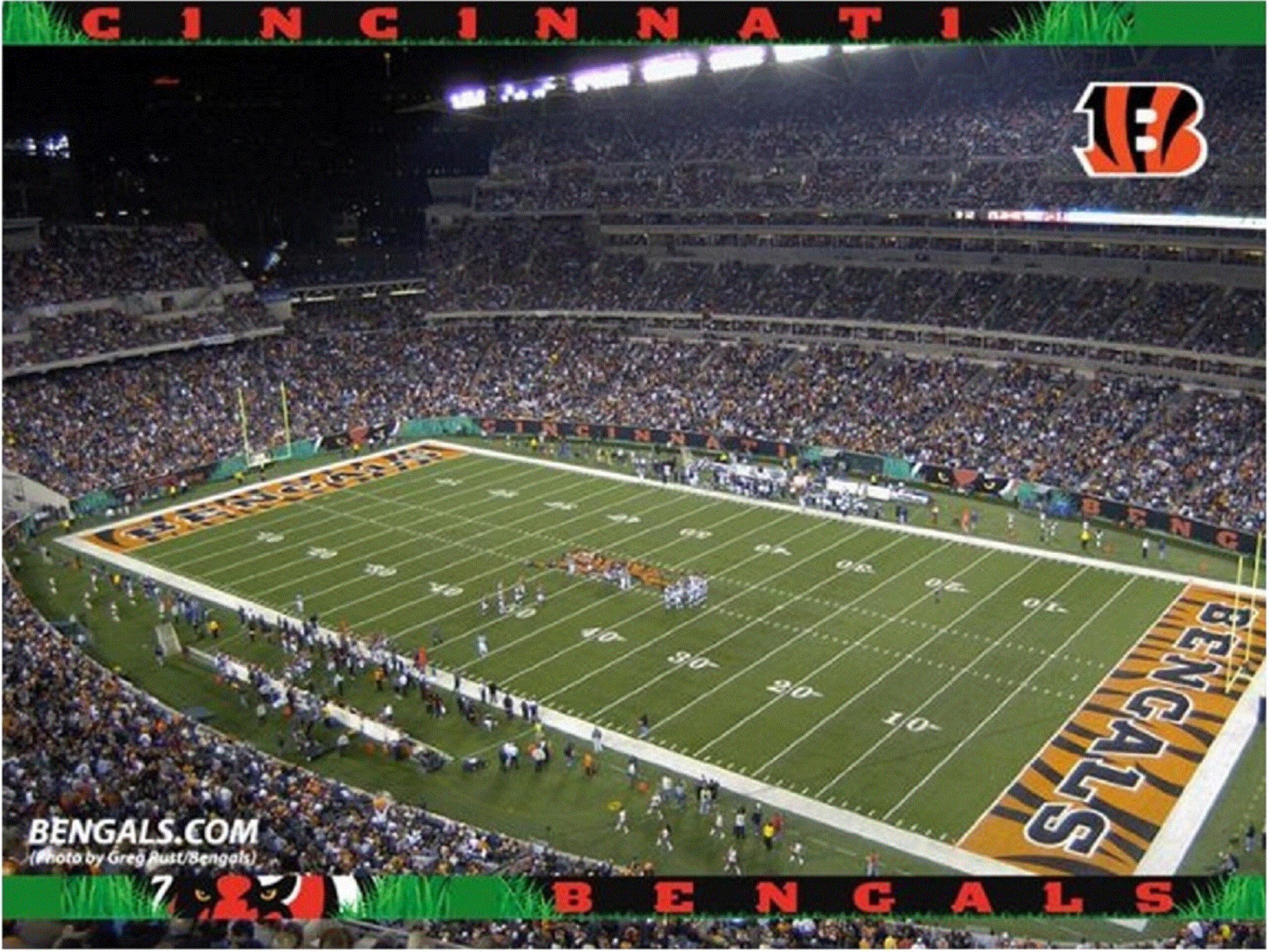 Bengals Ticket: $100.00 Bengals Ticket: $100.00