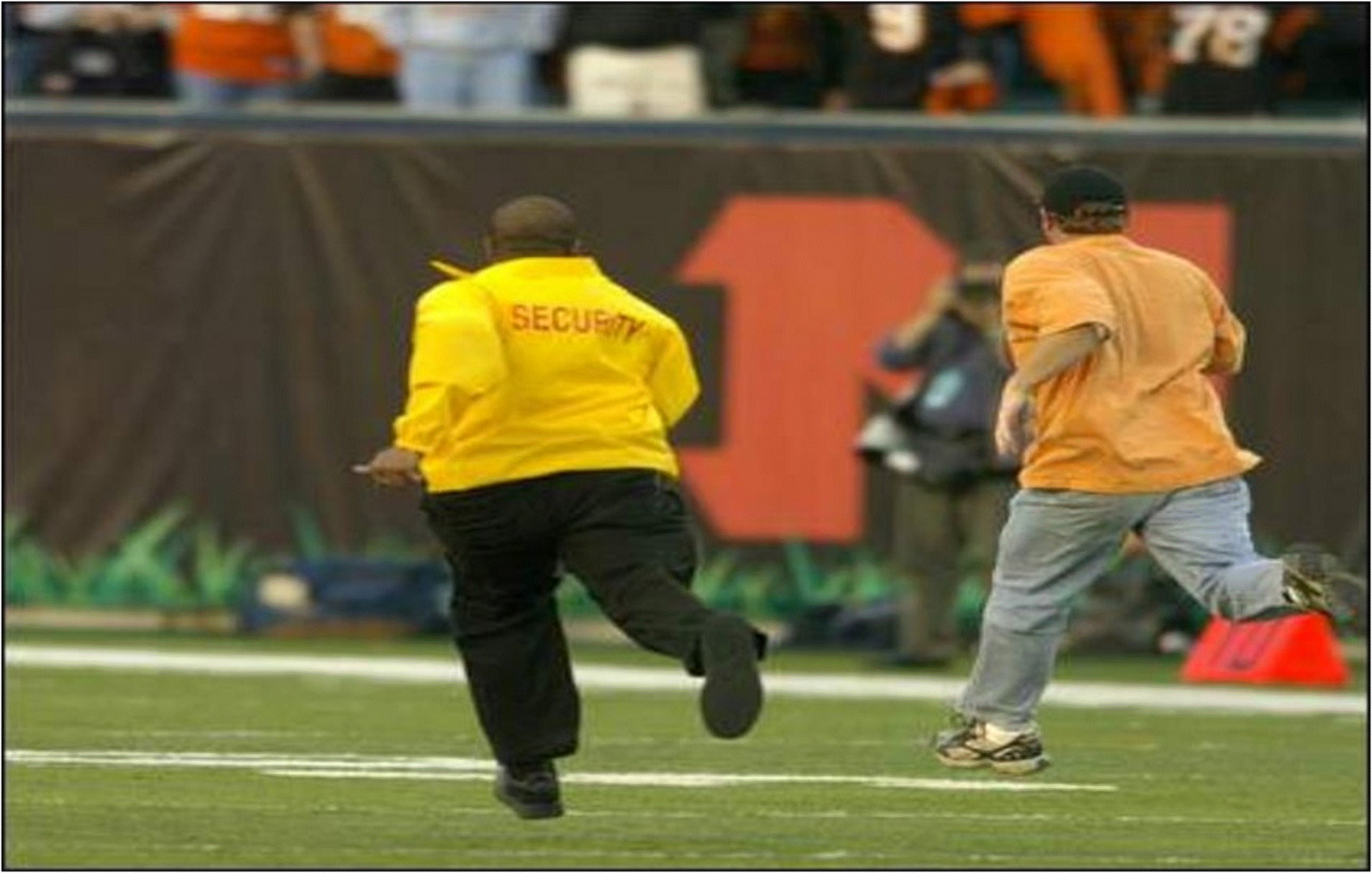 Bengals vs. Packers October 30, 2005: Fan Steals Ball From Brett Favre, News, Scores, Highlights, Stats, and Rumors