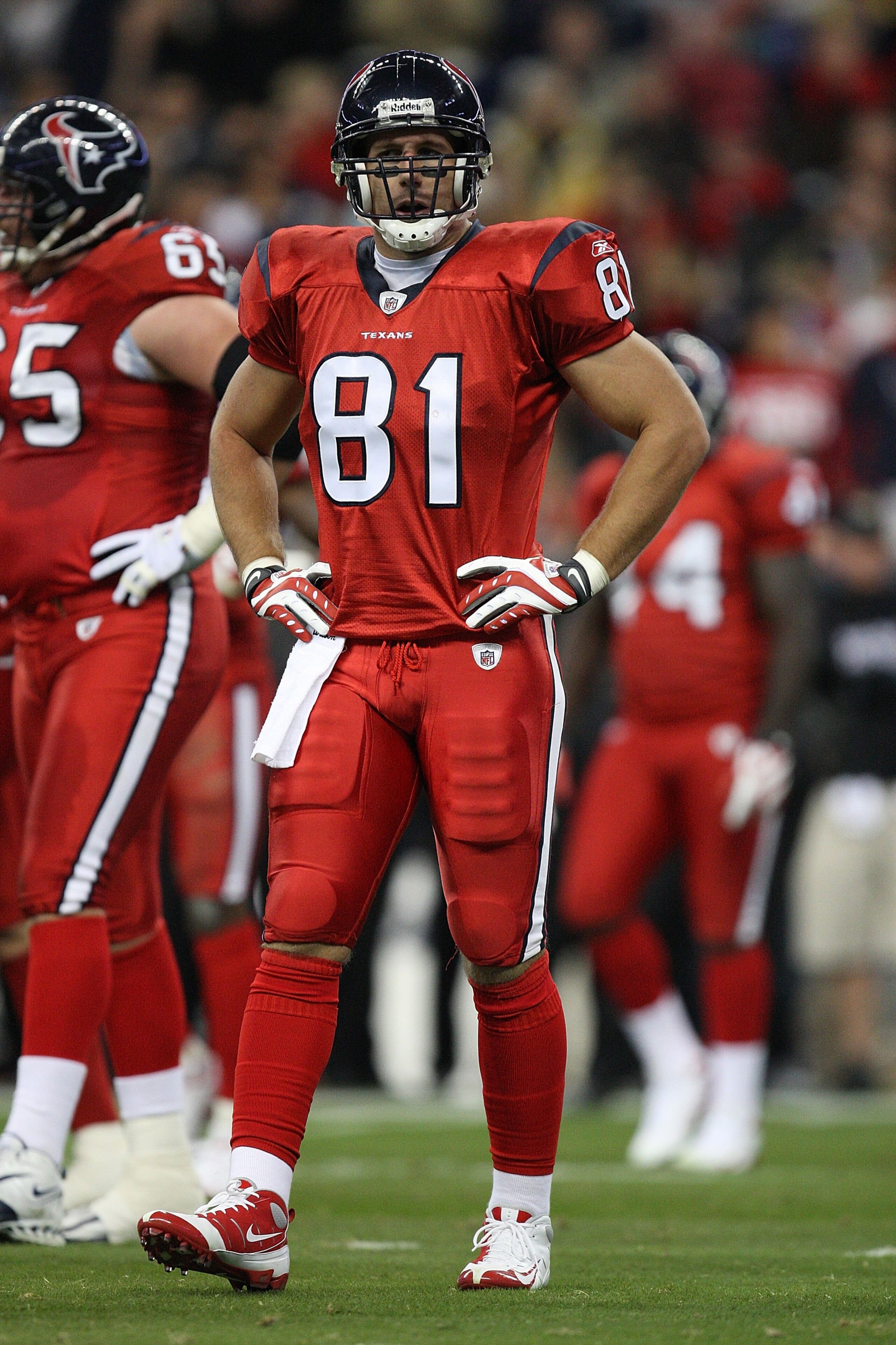 HOUSTON - DECEMBER 01:  Tight end Owen Daniels #81 of the Houston Texans during play against the Jacksonville Jaguars at Reliant Stadium on December 1, 2008 in Houston, Texas.  (Photo by Ronald Martinez/Getty Images)
