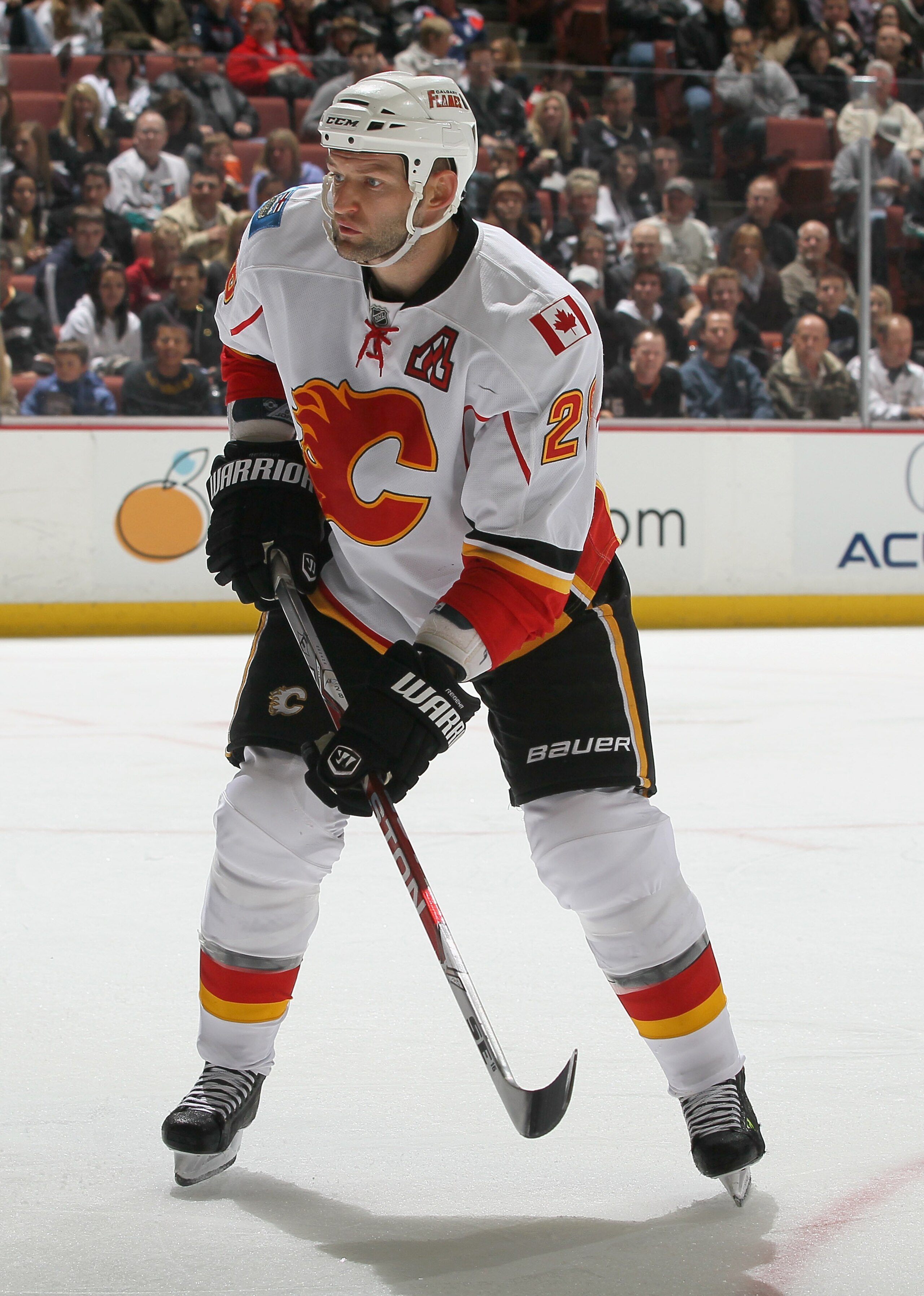ANAHEIM, CA - DECEMBER 10:  Robyn Regehr #28 of the Calgary Flames skates against the Anaheim Ducks at the Honda Center on December 10, 2010 in Anaheim, California.  (Photo by Jeff Gross/Getty Images)