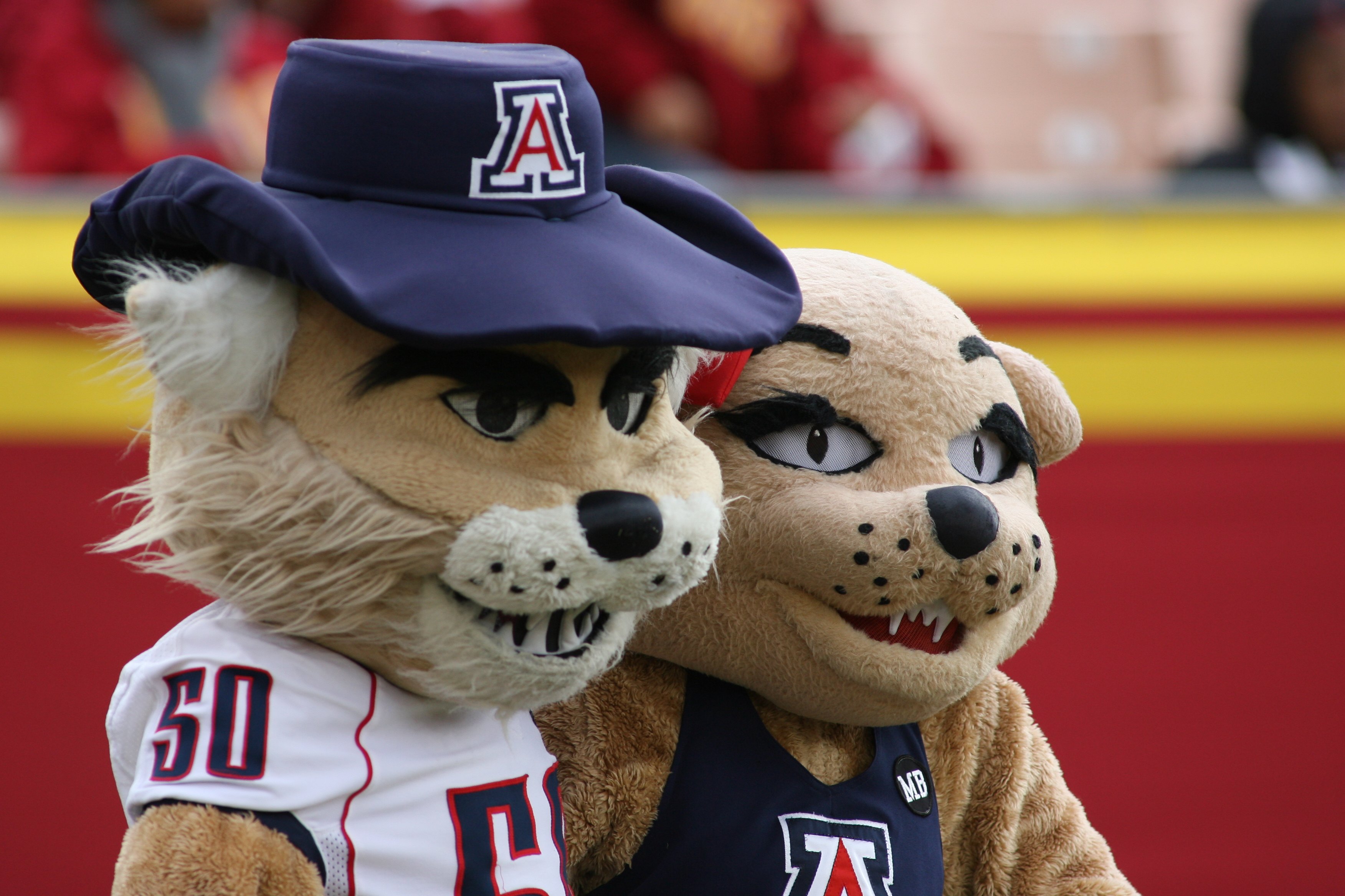LOS ANGELES, CA - DECEMBER 5:  Arizona Wildcats mascots Wilbur the Wildcat and Wilma The Wildcat pose during the game between the Arizona Wildcats and the USC Trojans on December 5, 2009 at the Los Angeles Coliseum in Los Angeles, California.  Arizona won