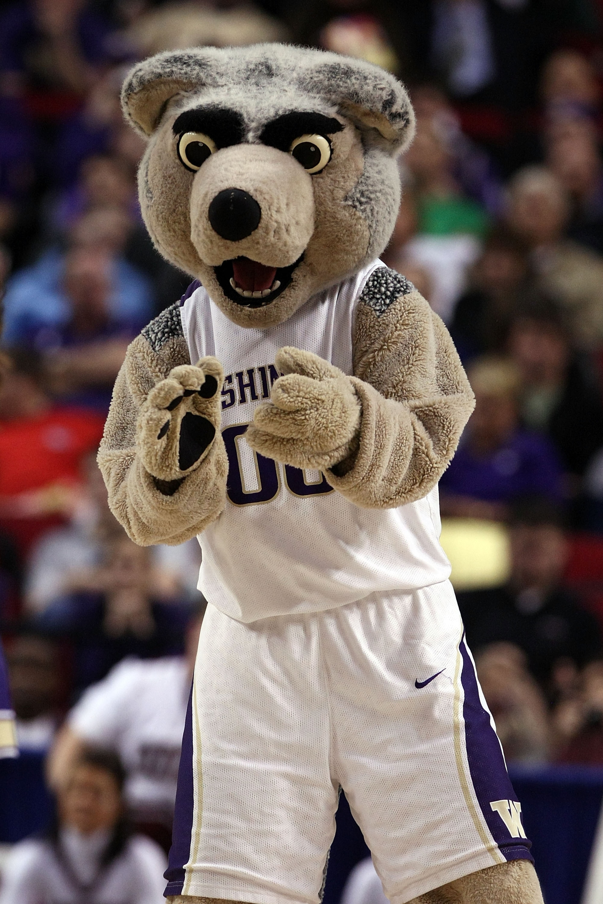 PORTLAND, OR - MARCH 19: The Washington Huskies mascot performs on the court during a break in the action while taking on the Mississippi State Bulldogs during the first round of the NCAA Division I Men's Basketball Tournament at the Rose Garden on March PORTLAND, OR - MARCH 19: The Washington Huskies mascot performs on the court during a break in the action while taking on the Mississippi State Bulldogs during the first round of the NCAA Division I Men's Basketball Tournament at the Rose Garden on March