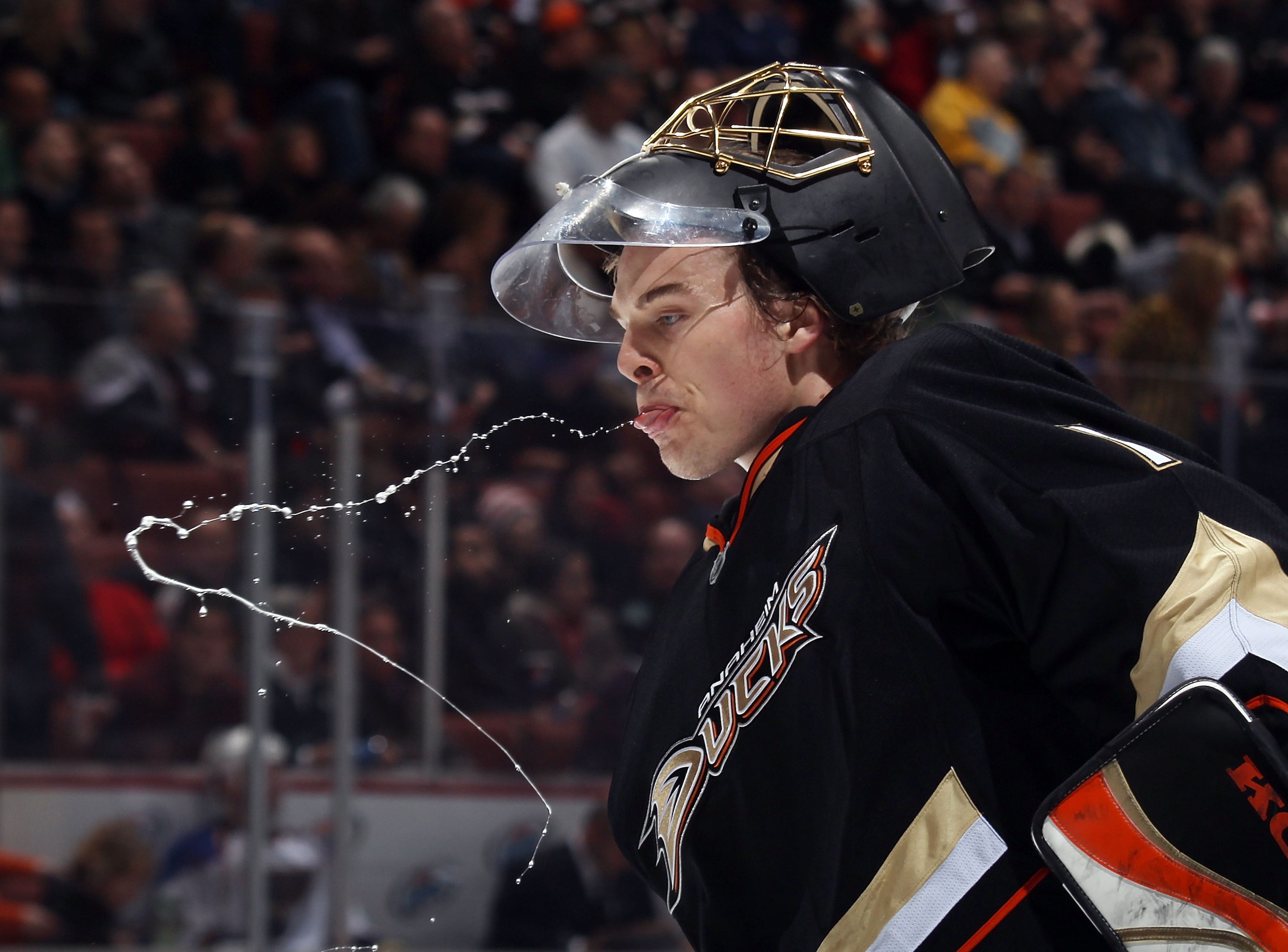 ANAHEIM, CA - JANUARY 12: Jonas Hiller #1 of the Anaheim Ducks takes a water break during his game again st the St. Louis Blues at the Honda Center on January 12, 2011 in Anaheim, California.  (Photo by Bruce Bennett/Getty Images)