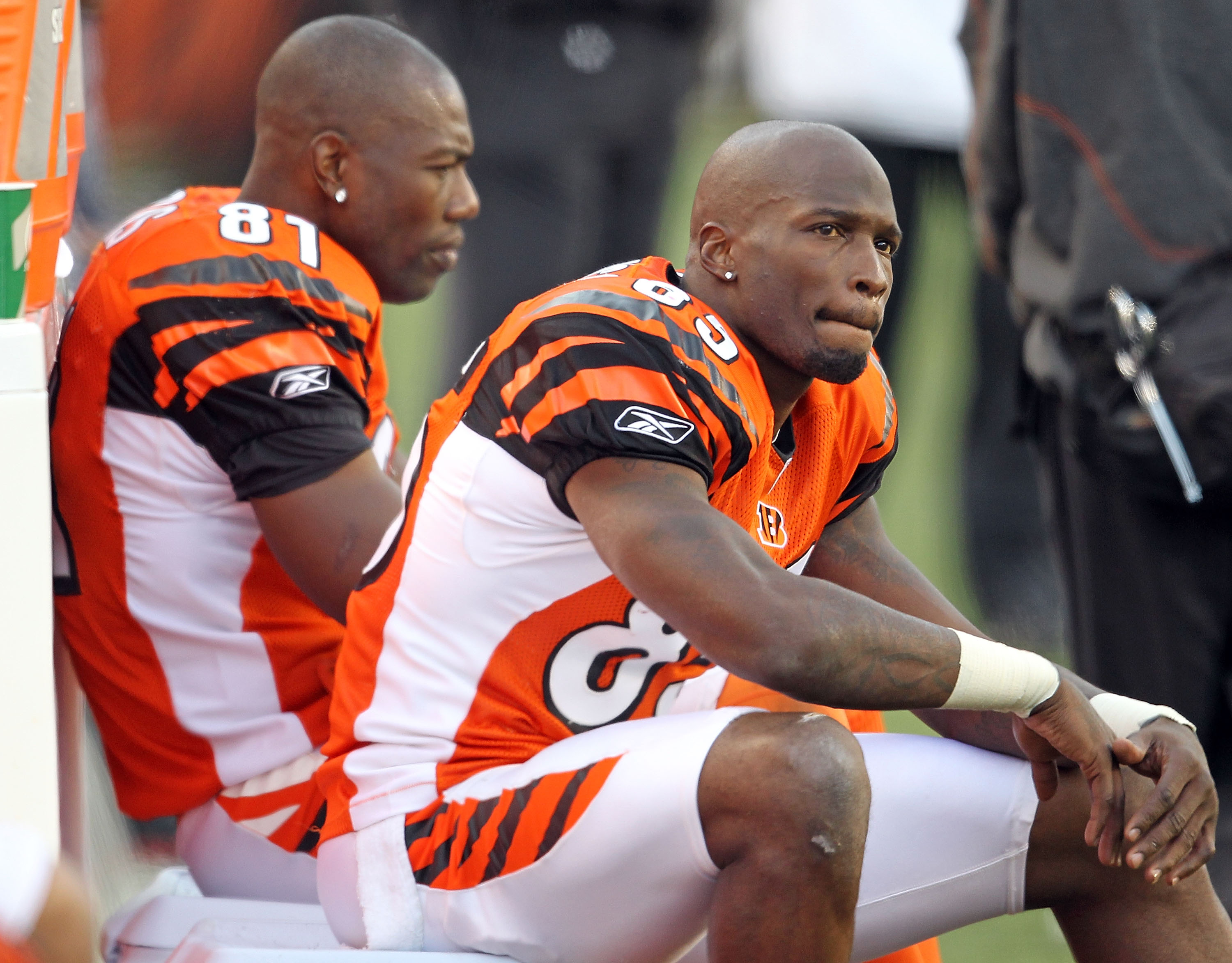 CINCINNATI - NOVEMBER 21:  Chad Ochocinco #85 and Terrell Owens #81 of the Cincinnati Bengals watch from the sideline during the final minutes of the Bengals 49-31 loss to the Buffalo Bills at Paul Brown Stadium on November 21, 2010 in Cincinnati, Ohio.