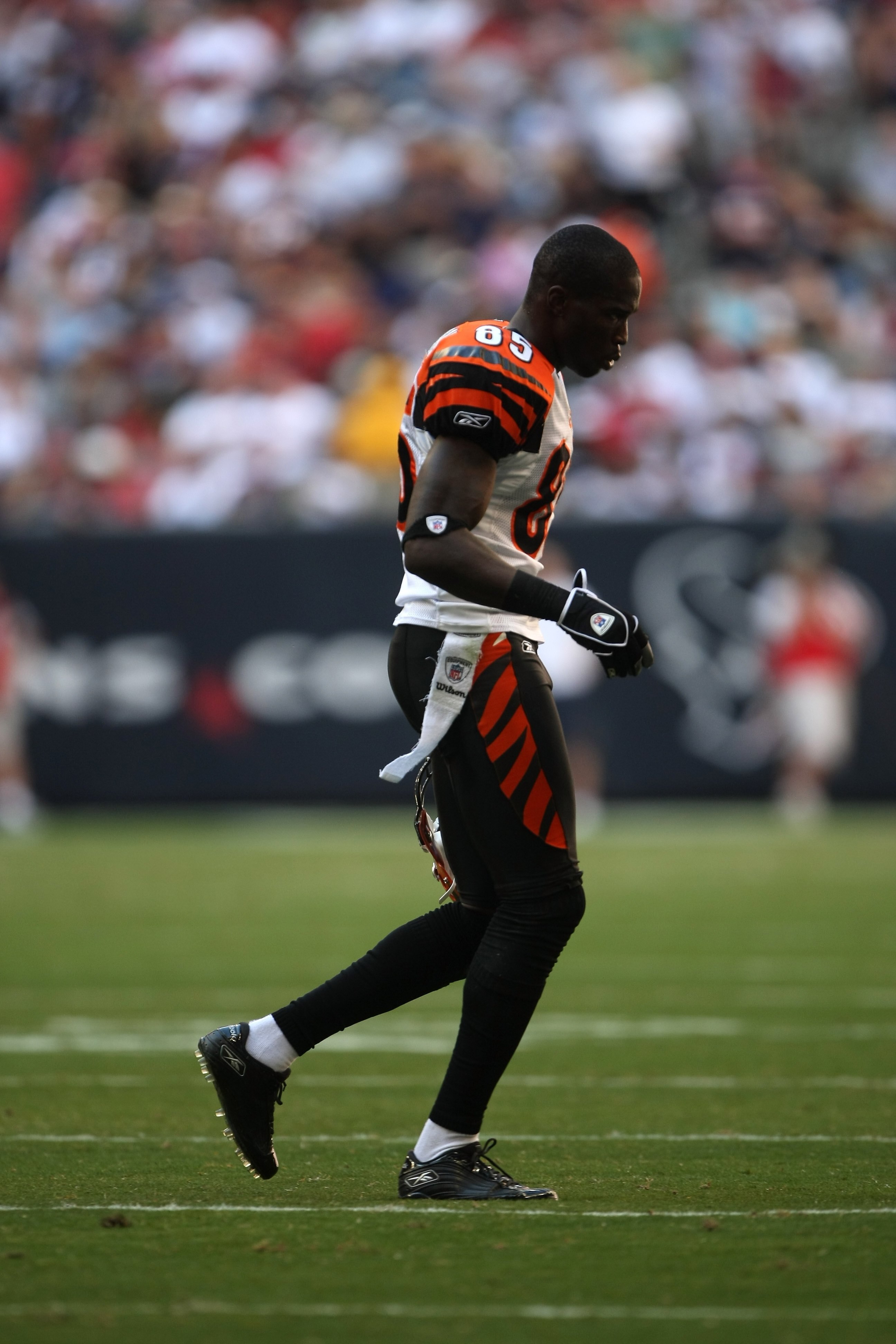 HOUSTON - OCTOBER 26:  Wide receiver Chad Johnson #85 of the Cincinnati Bengals walks to the bench during the game against the Houston Texans on October 26, 2008 at Reliant Stadium in Houston, Texas.  (Photo by Stephen Dunn/Getty Images)