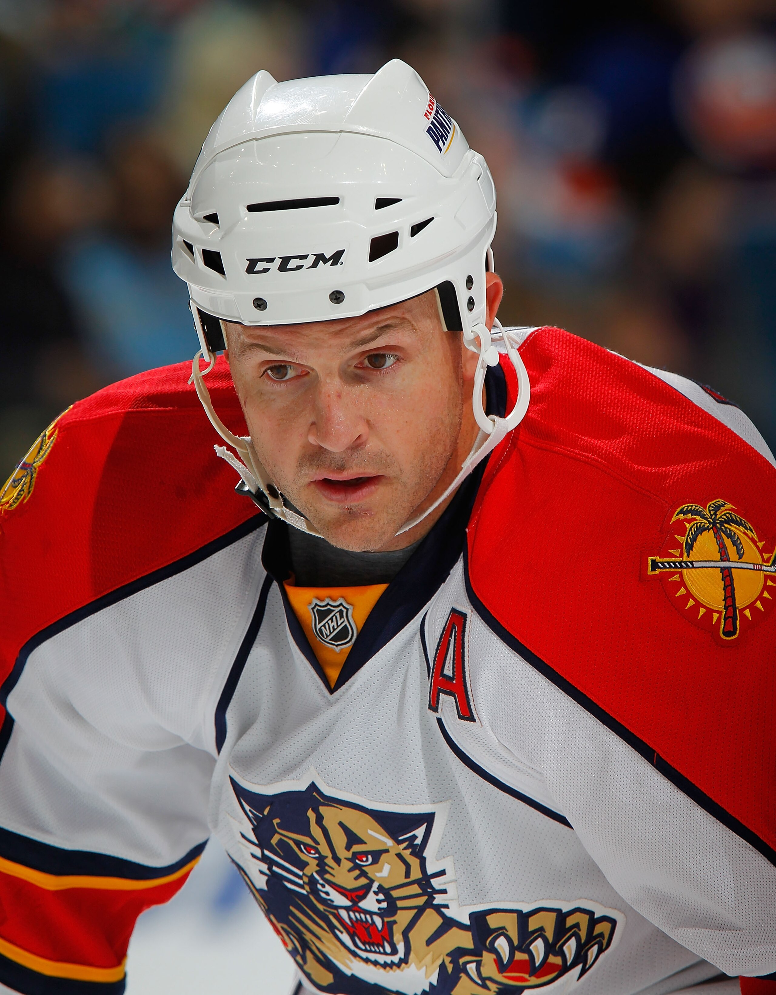 UNIONDALE, NY - NOVEMBER 20:  Cory Stillman #61 of the Florida Panthers waits for a faceoff during a hockey game against the New York Islanders at the Nassau Coliseum on November 20, 2010 in Uniondale, New York.  (Photo by Paul Bereswill/Getty Images)