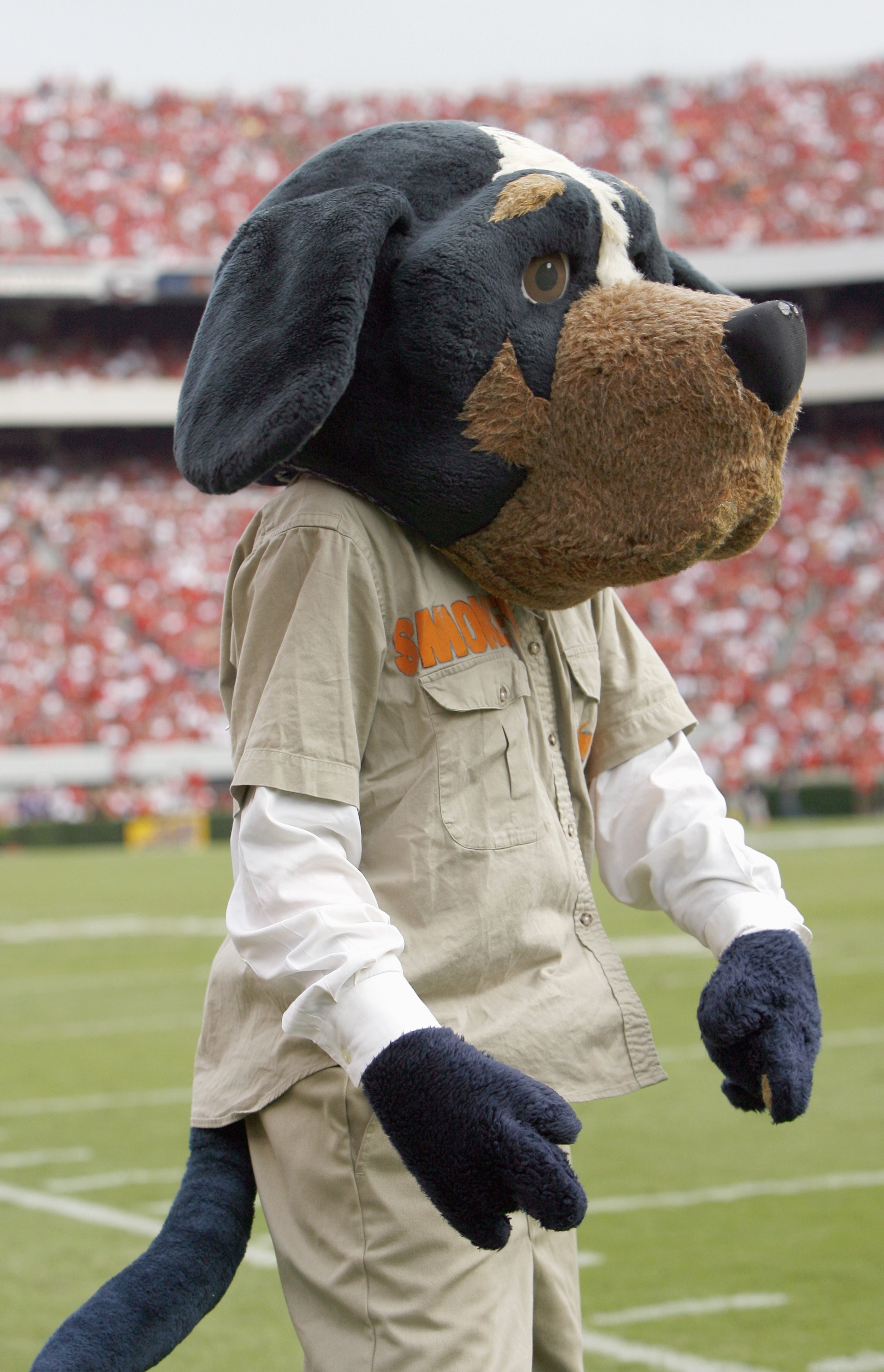 ATHENS, GA - OCTOBER 11:  Smokey, Macot of the Tennessee Volunteers walks on the sidelines during the game against the Georgia Bulldogs at Sanford Stadium on October 11, 2008 in Athens, Georgia.  (Photo by Kevin C. Cox/Getty Images)