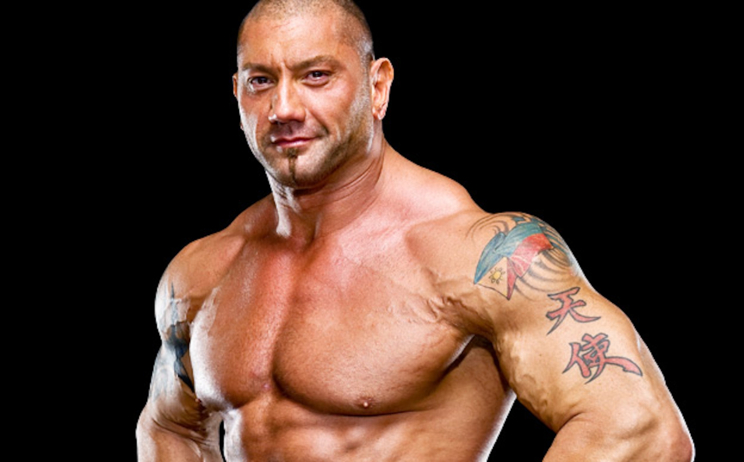 I thought it would be funny to put batista as the face of this slide considering all his injury problems and the fact that he was responsible for one of Cena's injuries.