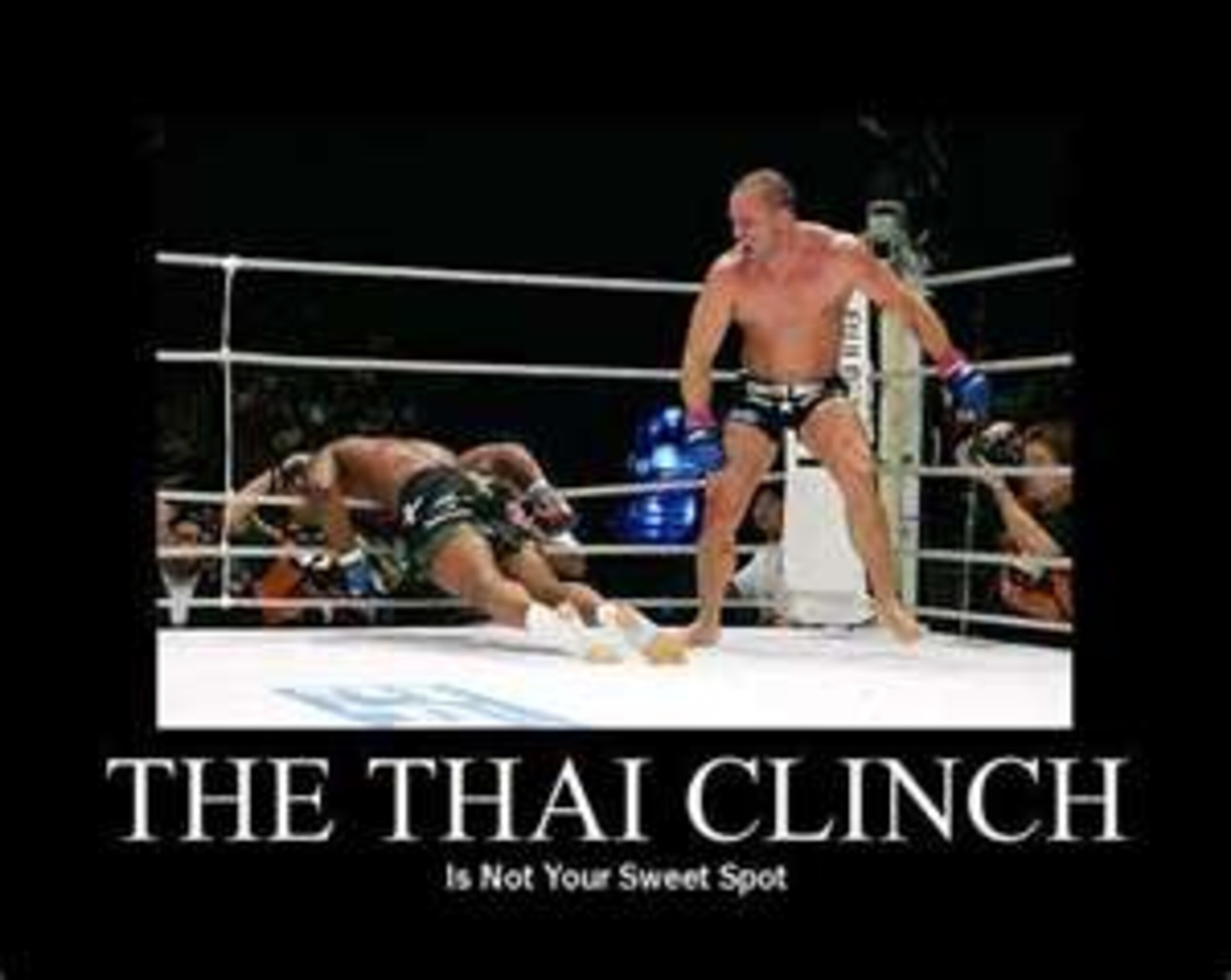 Wanderlei Silva KO'd Quinton Jackson