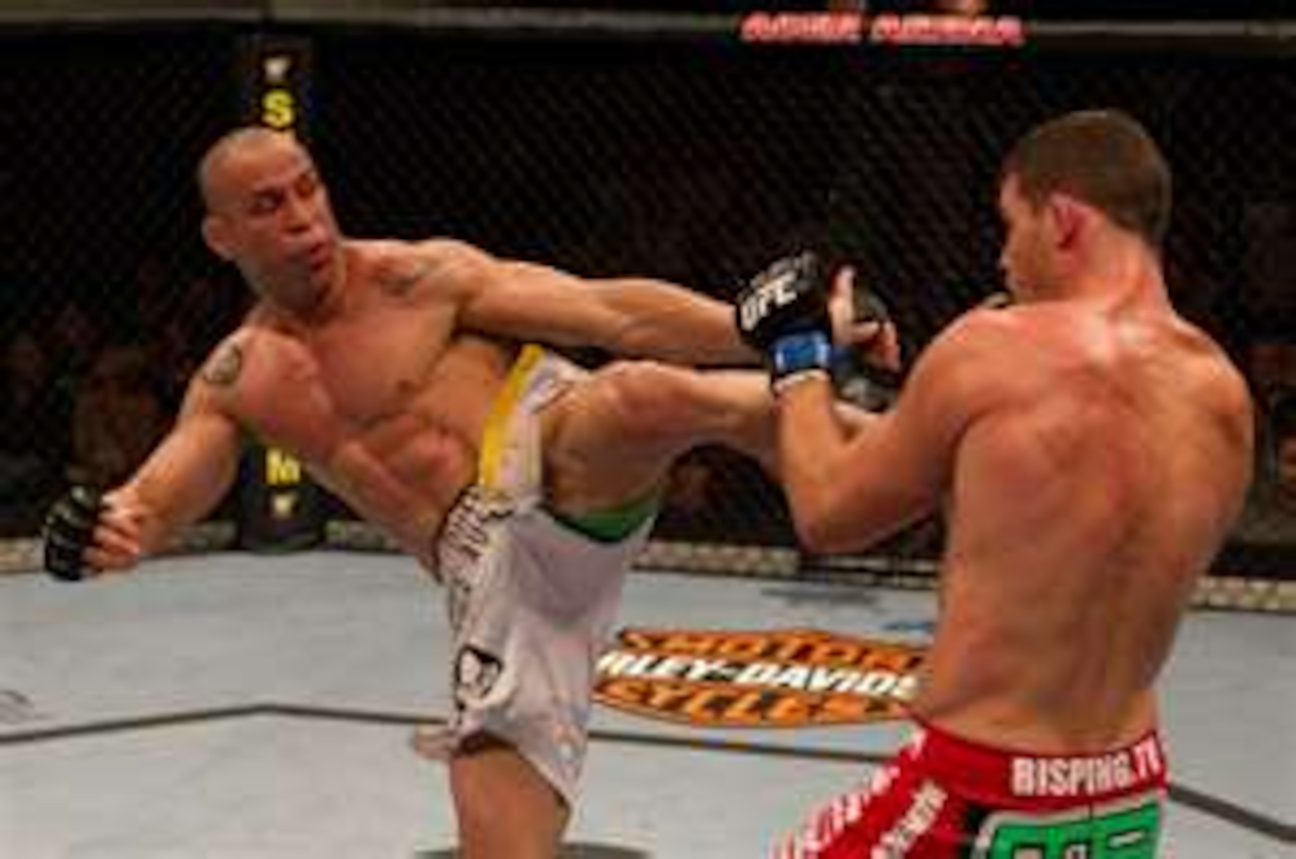 Wanderlei Silva VS Michael Bisping