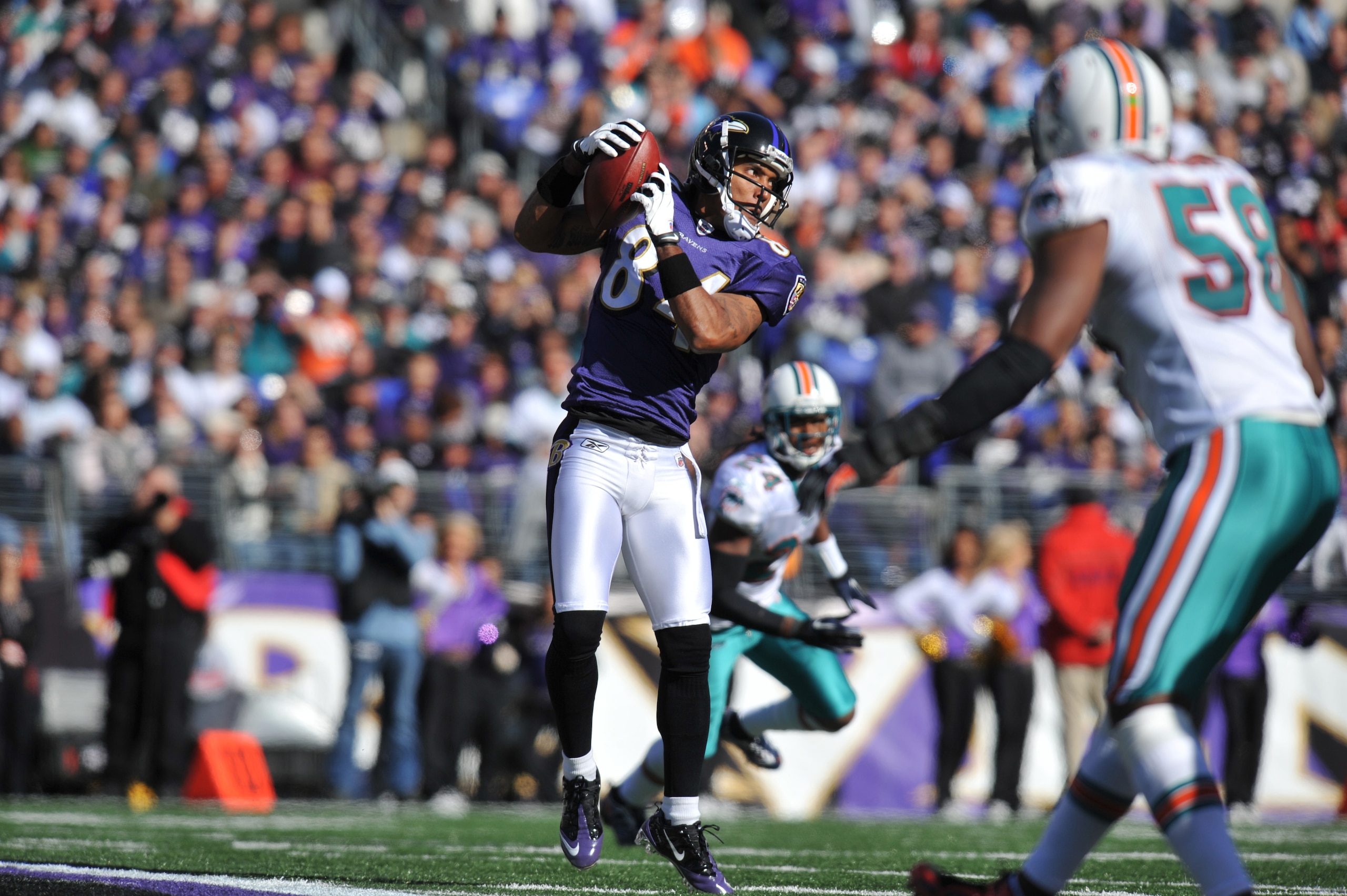 BALTIMORE, MD - NOVEMBER 7:  TJ Houshmandzedah #84 of the Baltimore Ravens makes a catch against the Miami Dolphins at M&T Bank Stadium on November 7, 2010 in Baltimore, Maryland. The Ravens defeated the Dolphins 26-10. (Photo by Larry French/Getty Images
