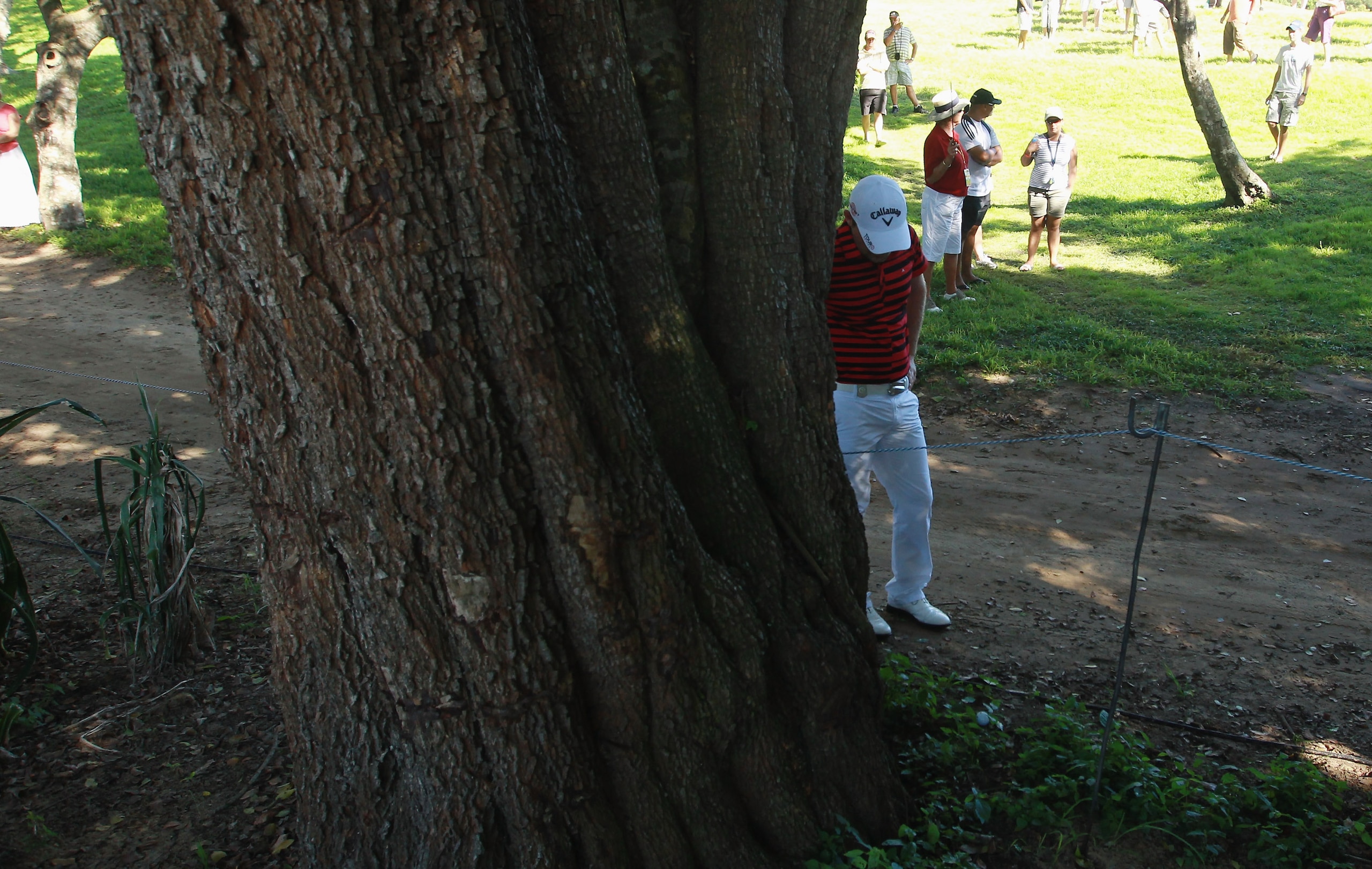 EAST LONDON, SOUTH AFRICA - JANUARY 08: Branden Grace of South Africa inspects his ball by a tree on the 17th green during the third round of the Africa Open at East London GC on January 8, 2011 in East London, South Africa.  (Photo by Warren Little/Getty