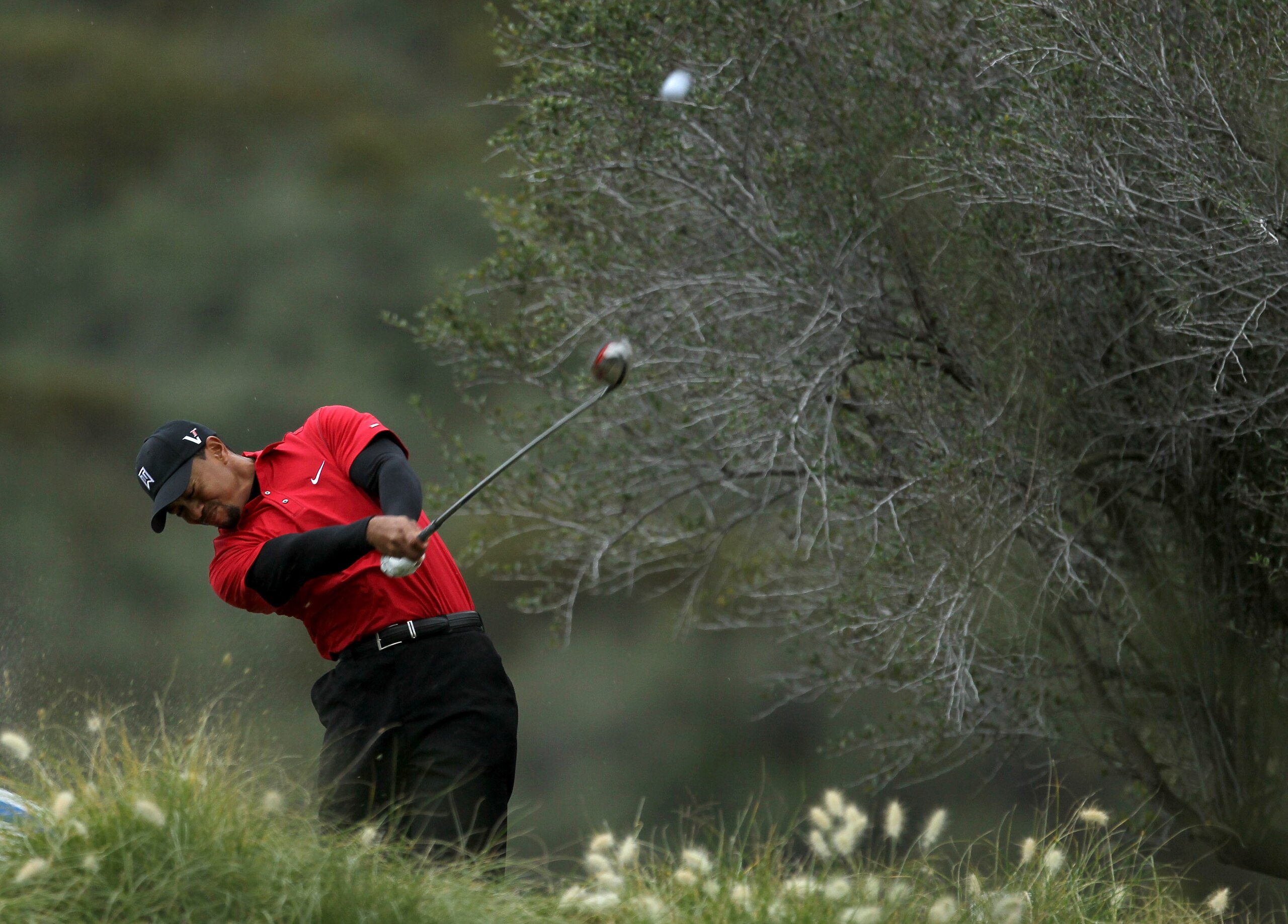 THOUSAND OAKS, CA - DECEMBER 05:  Tiger Woods hits his tee shot on the 12th hole during the final round of the Chevron World Challenge at Sherwood Country Club on December 5, 2010 in Thousand Oaks, California.  (Photo by Stephen Dunn/Getty Images)