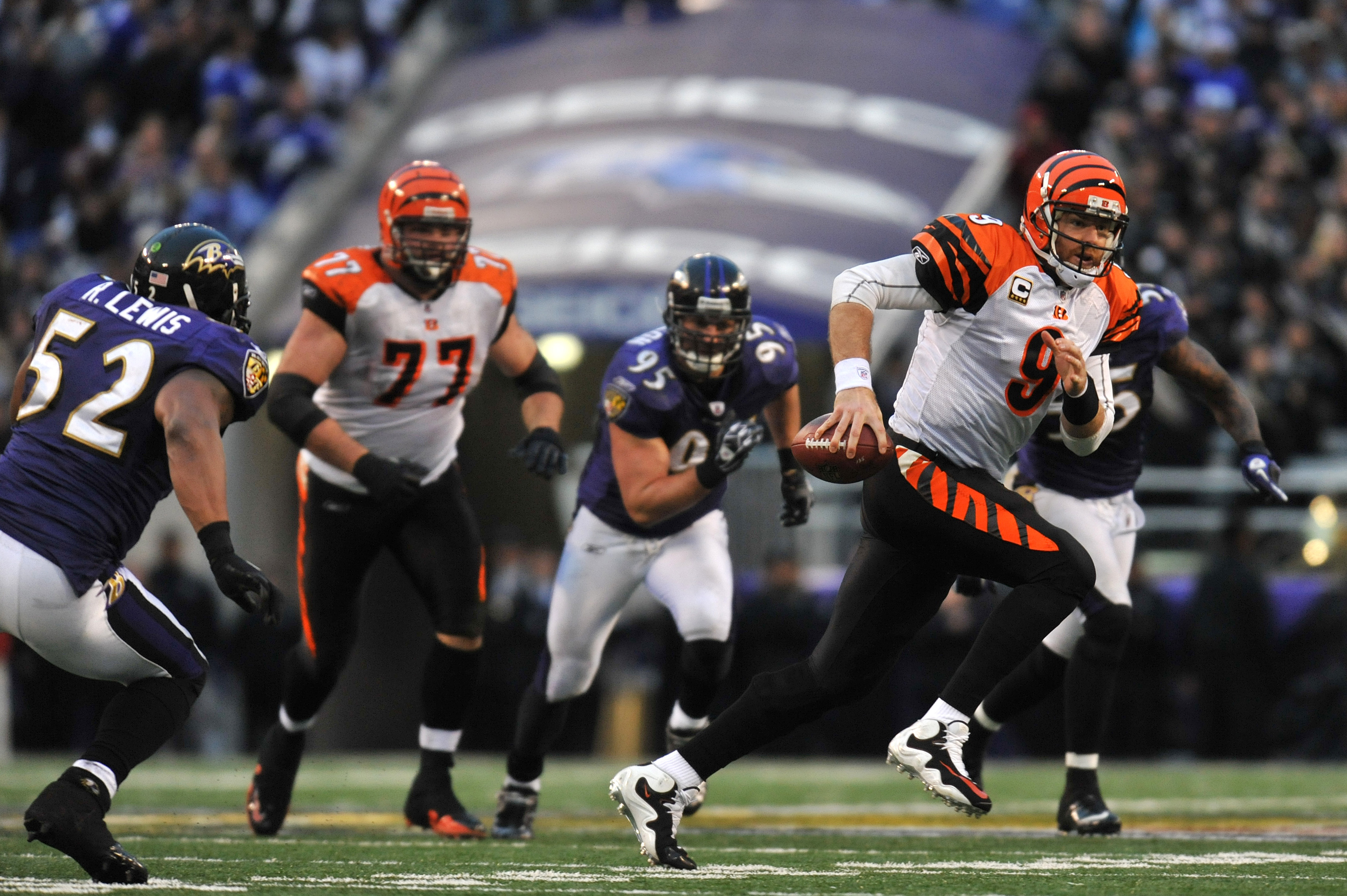 Cincinnati Bengals: Pros and Cons of Keeping Carson Palmer in Cincy, News,  Scores, Highlights, Stats, and Rumors