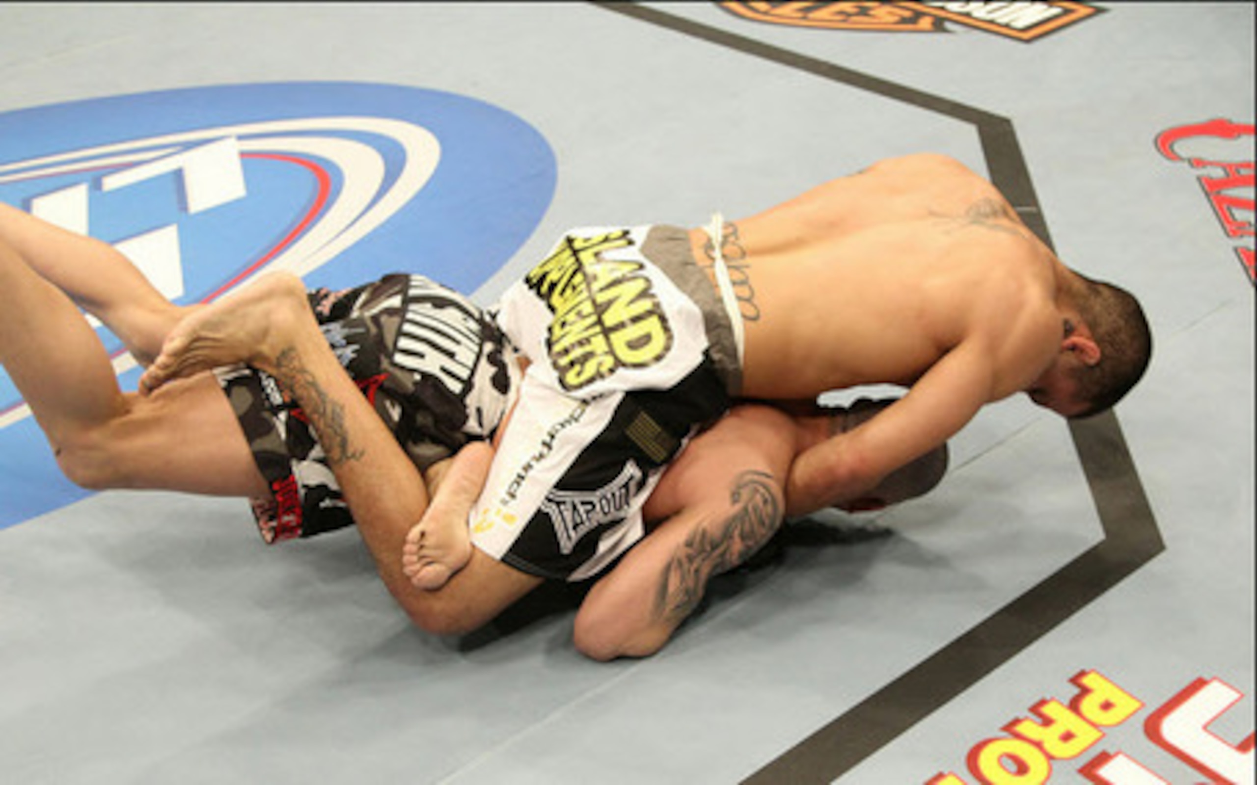 Can Johnson squeeze the life out of Matt Serra?