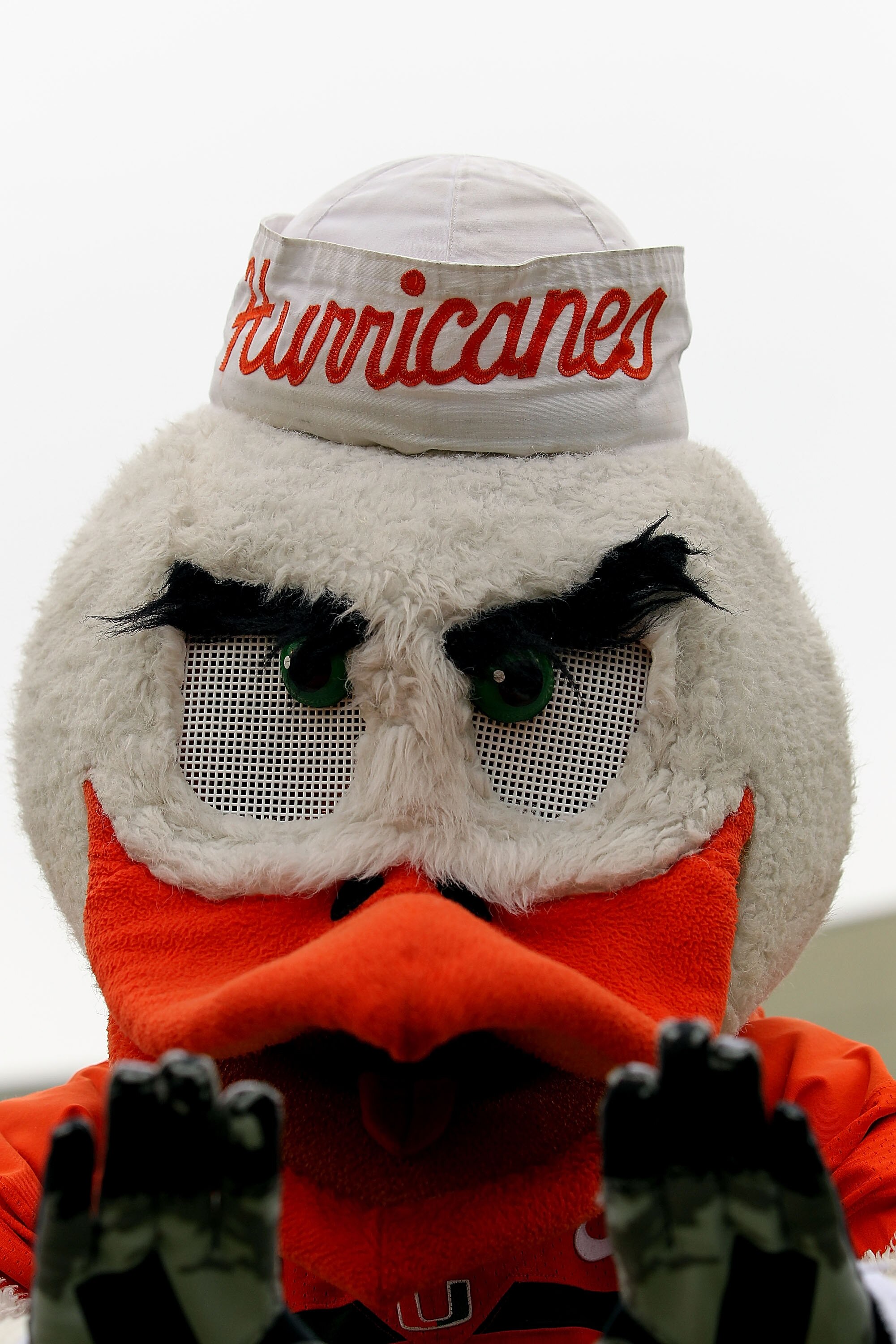 EL PASO, TX - DECEMBER 30:  Sebastian the Ibis of the Miami Hurricanes during play against the Notre Dame Fighting Irish at Sun Bowl on December 30, 2010 in El Paso, Texas.  (Photo by Ronald Martinez/Getty Images)