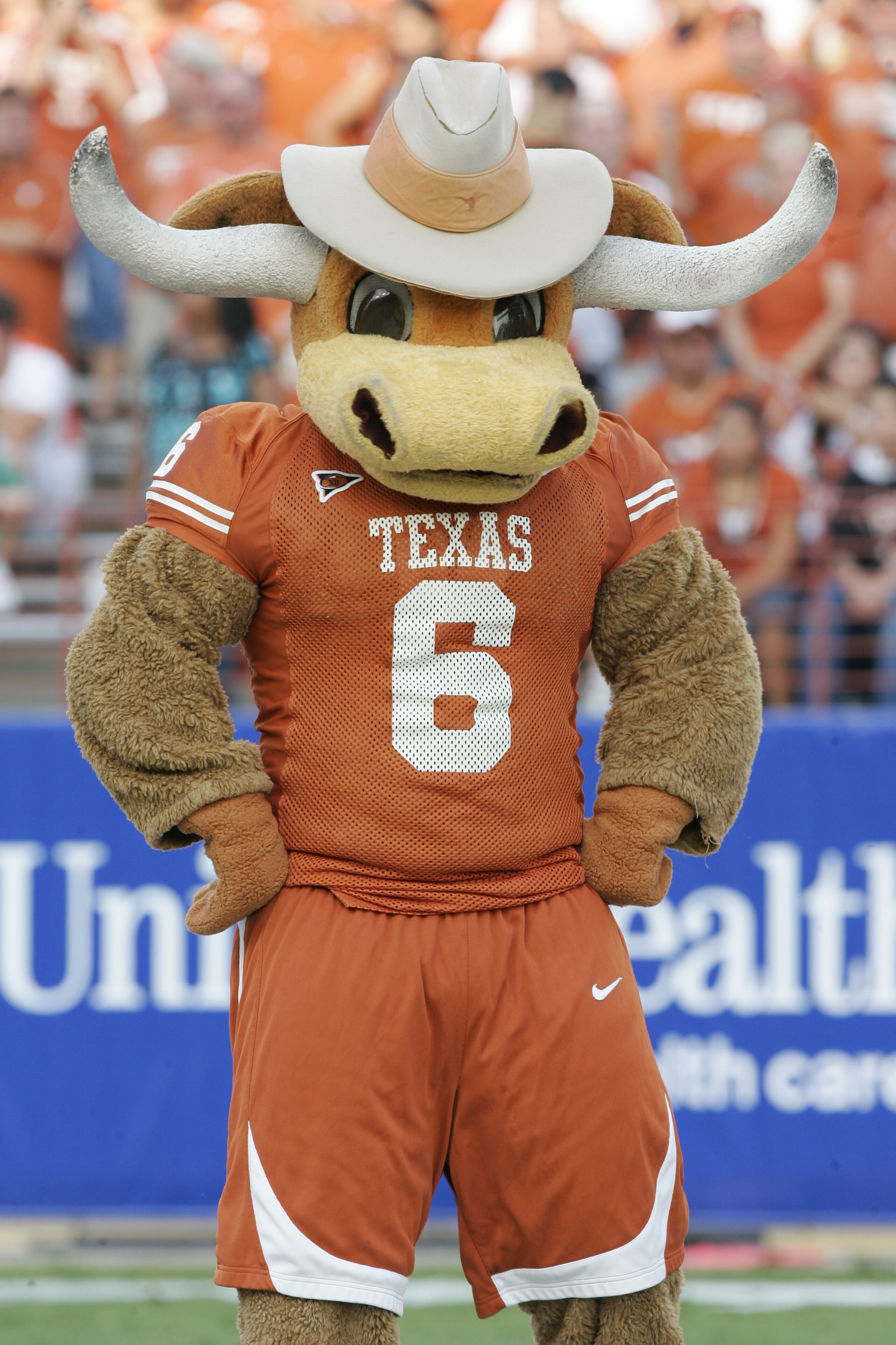 AUSTIN, TX - SEPTEMBER 20:  The Texas Longhorns mascot looks on during the game against the Rice Owls on September 20, 2008 at Darrell K Royal-Texas Memorial Stadium in Austin, Texas. Texas won 52-10. (Photo by Brian Bahr/Getty Images)