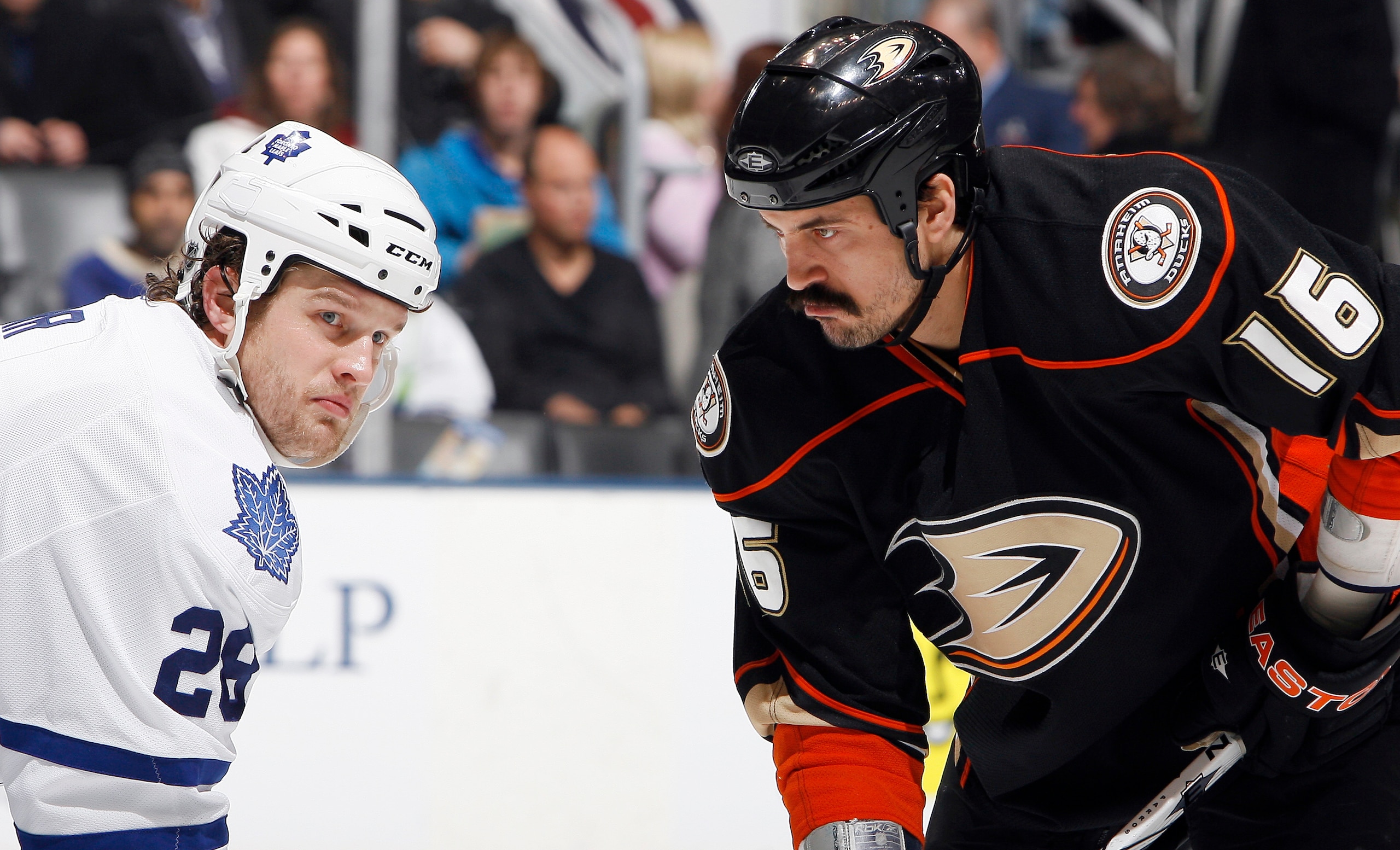 TORONTO, CANADA - JANUARY 20: Colton Orr #28 of the Toronto Maple Leafs squares up with George Parros #16 of the Anaheim Ducks during game action at the Air Canada Centre January 20, 2011 in Toronto, Ontario, Canada. (Photo by Abelimages/Getty Images)