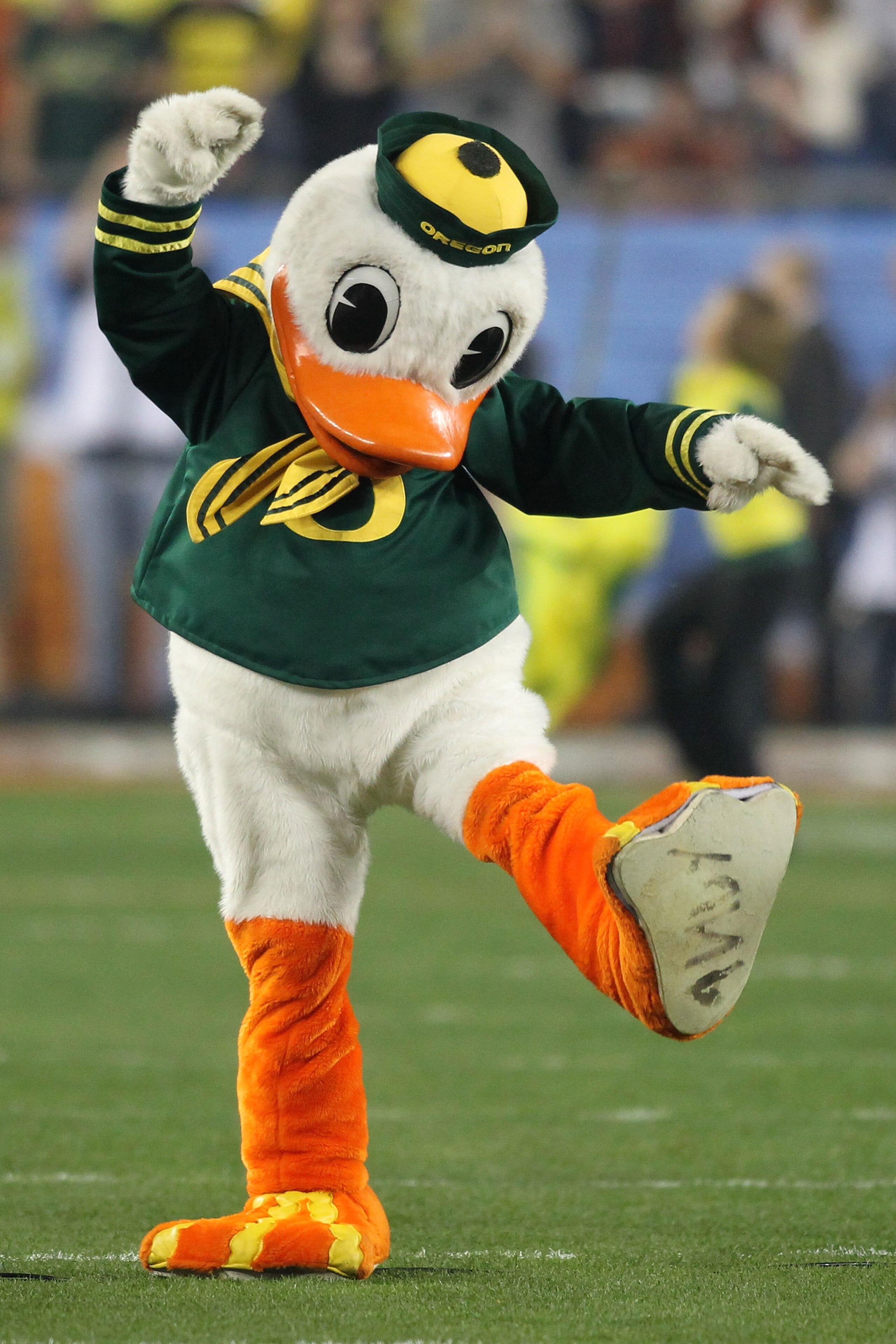 GLENDALE, AZ - JANUARY 10:  The Oregon Duck performs during their Tostitos BCS National Championship Game against the Auburn Tigers at University of Phoenix Stadium on January 10, 2011 in Glendale, Arizona.  (Photo by Jonathan Ferrey/Getty Images)