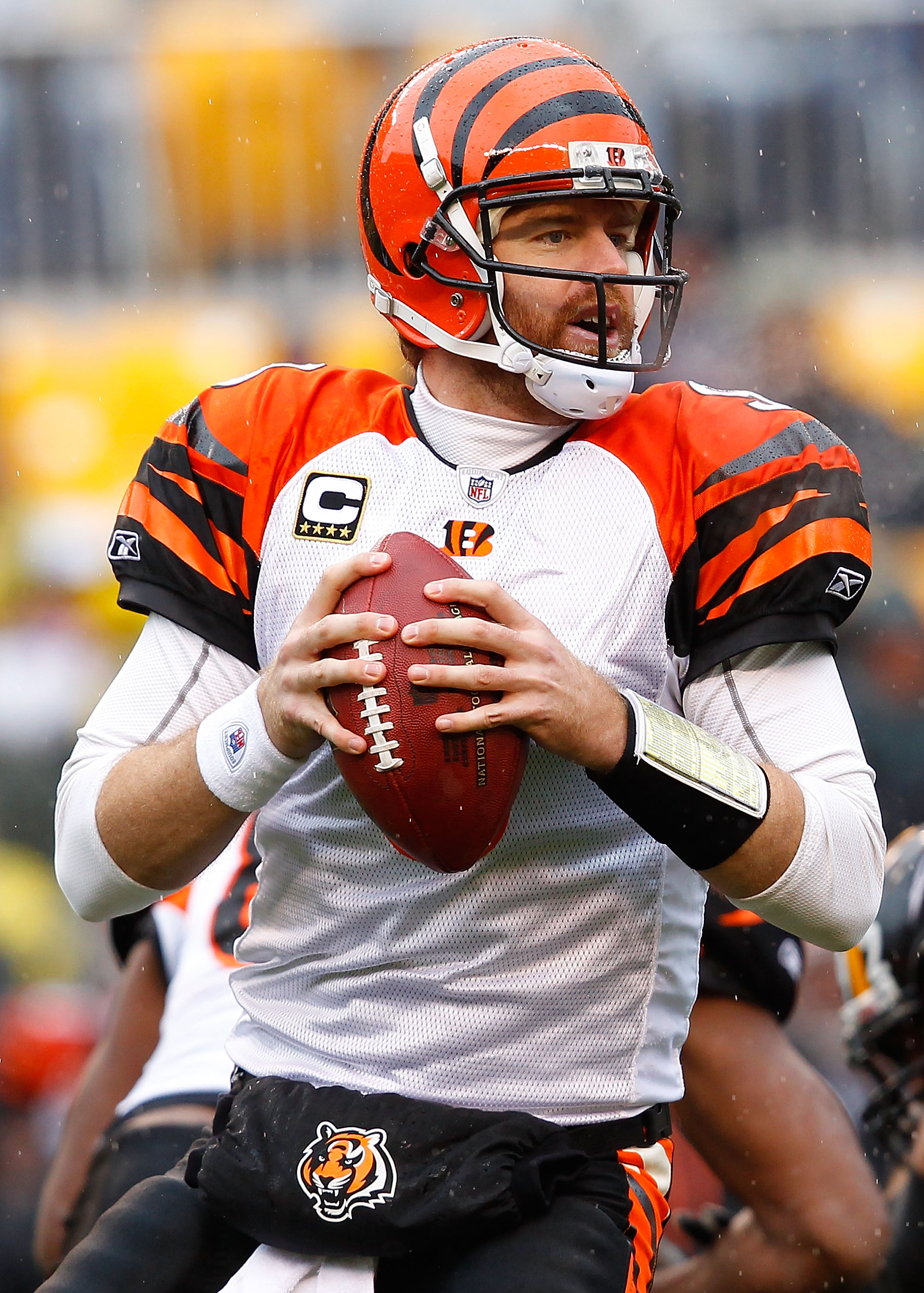 2,277 Carson Palmer Bengals Stock Photos, High-Res Pictures, and