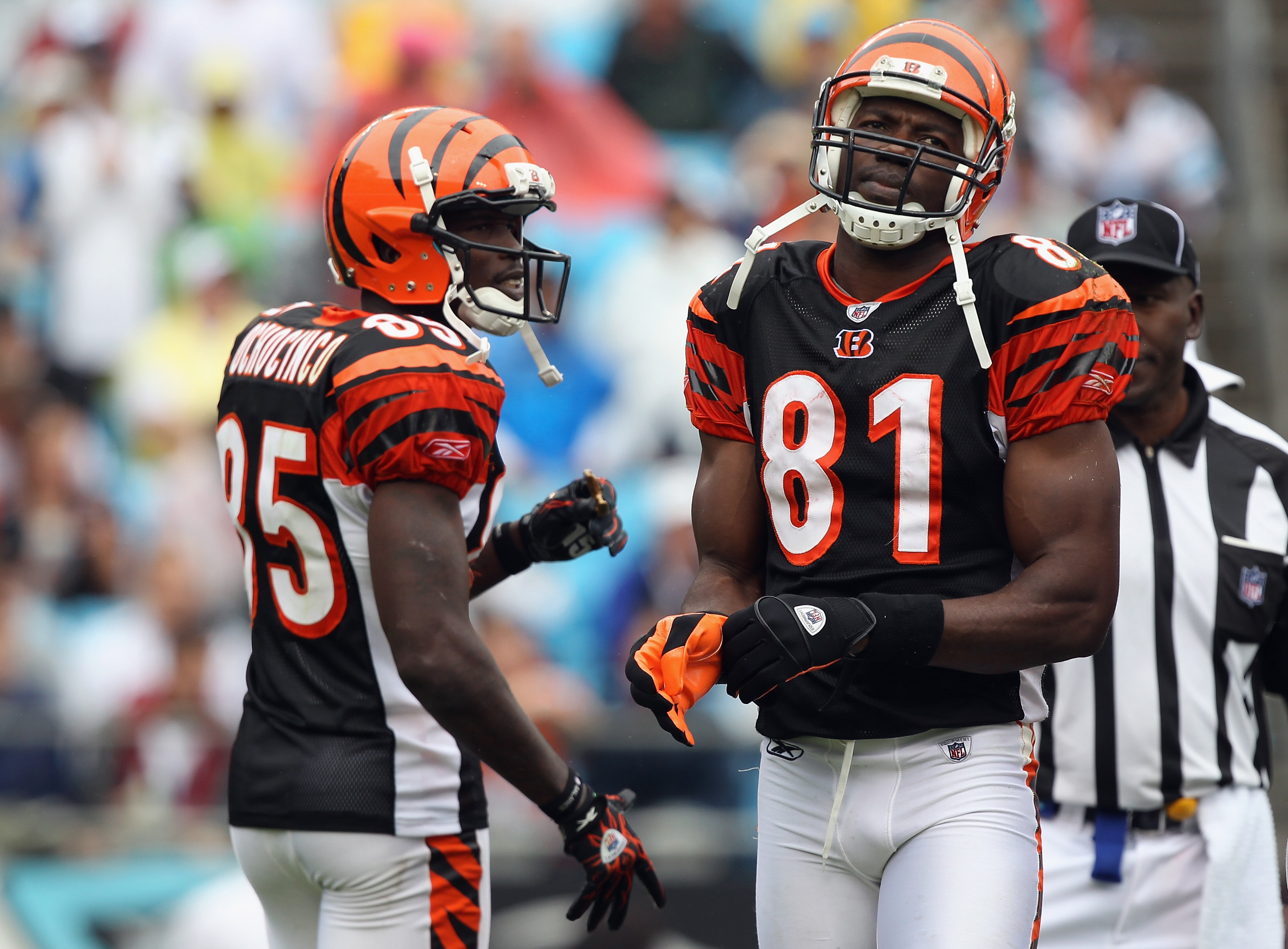 Chad Ochocinco : What Happened to Chad Ochocinco - NFL Comeback in 2018 ... - He played college football for santa monica college and oregon state university, and played 11 seasons in the national football league (nfl).