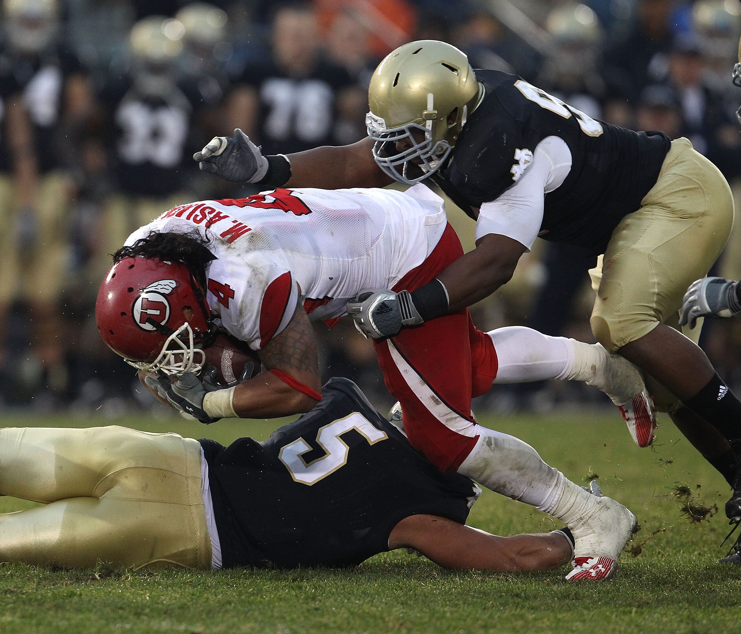 SOUTH BEND, IN - NOVEMBER 13: Manti Te'o #5 and Emeka Nwankwo #91 of the Notre Dame Fighting Irish tackle Matt Asiata #4 of the Utah Utes at Notre Dame Stadium on November 13, 2010 in South Bend, Indiana. Notre Dame defeated Utah 28-3. (Photo by Jonathan