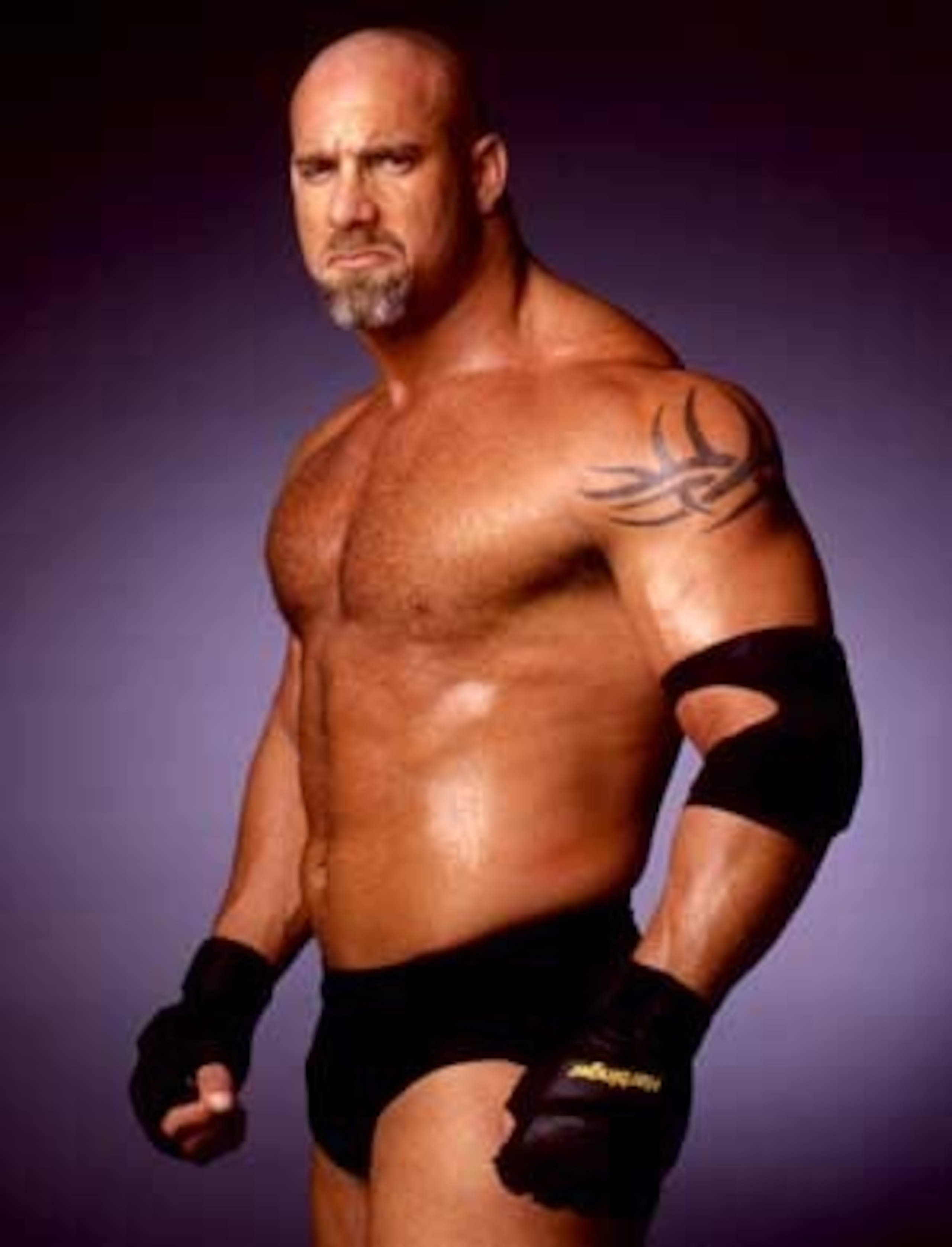 Courtesy of WWE.COM