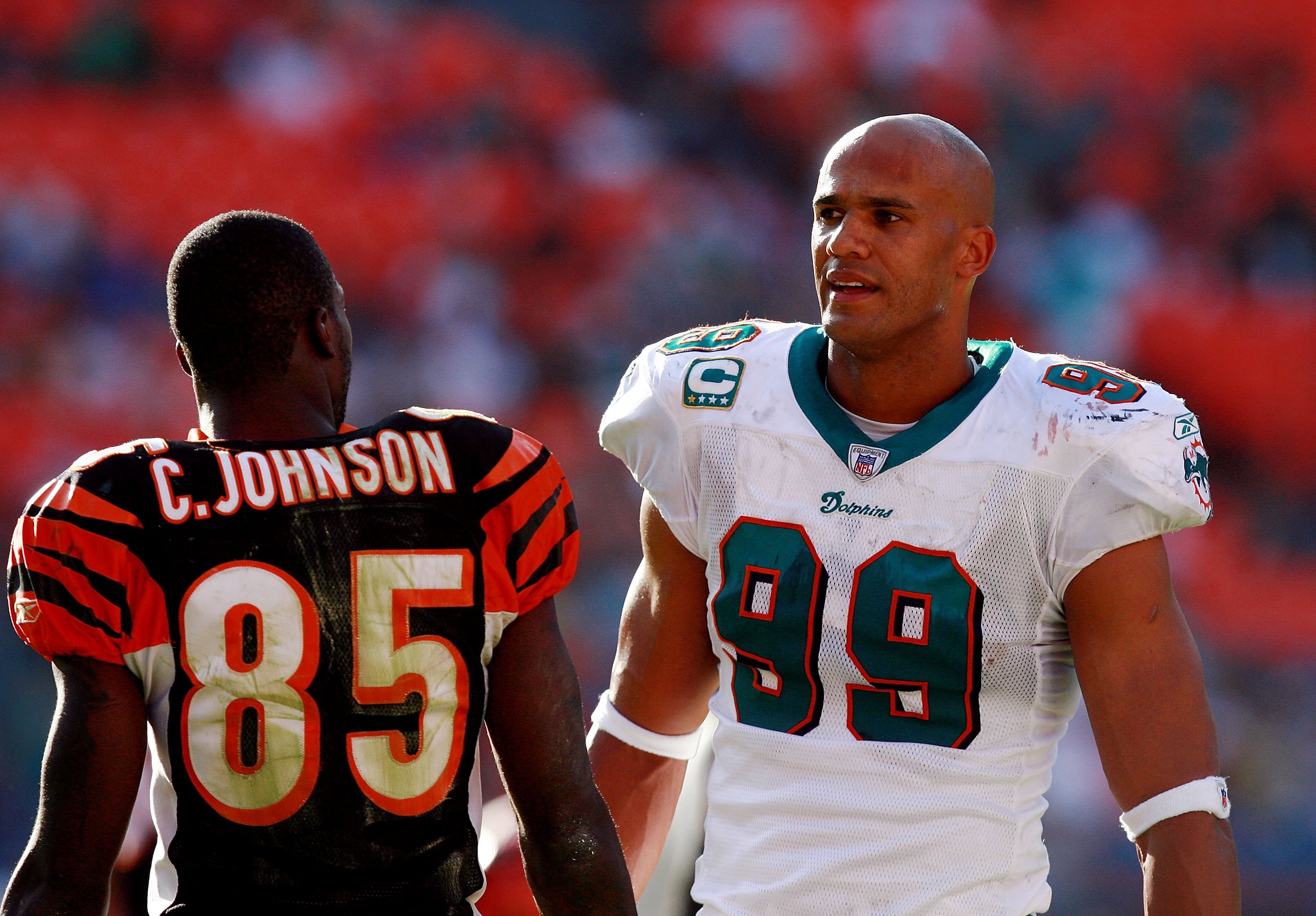 MIAMI - DECEMBER 30:  Wide receiver Chad Johnson #85 of the Cincinnati Bengals talks with defensive end Jason Taylor #99 the Miami Dolphins during a stoppage in play at Dolphin Stadium on December 30, 2007 in Miami, Florida. The Bengals defeated the Dolph