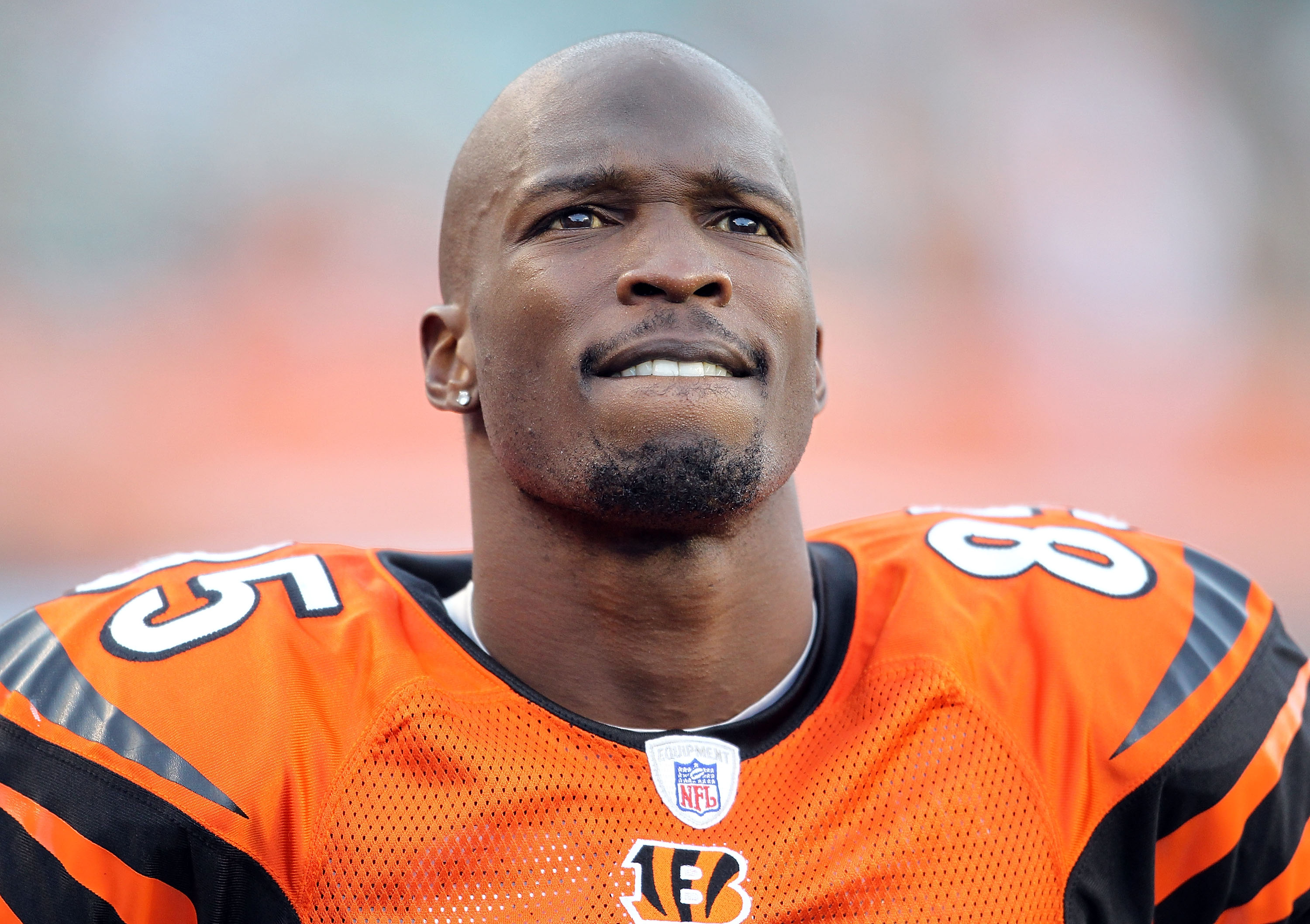CINCINNATI - NOVEMBER 21:  Chad Ochocinco #85 of the Cincinnati Bengals watches the final minute of the Bengals 49-31 loss to the Buffalo Bills at Paul Brown Stadium on November 21, 2010 in Cincinnati, Ohio.  (Photo by Andy Lyons/Getty Images)