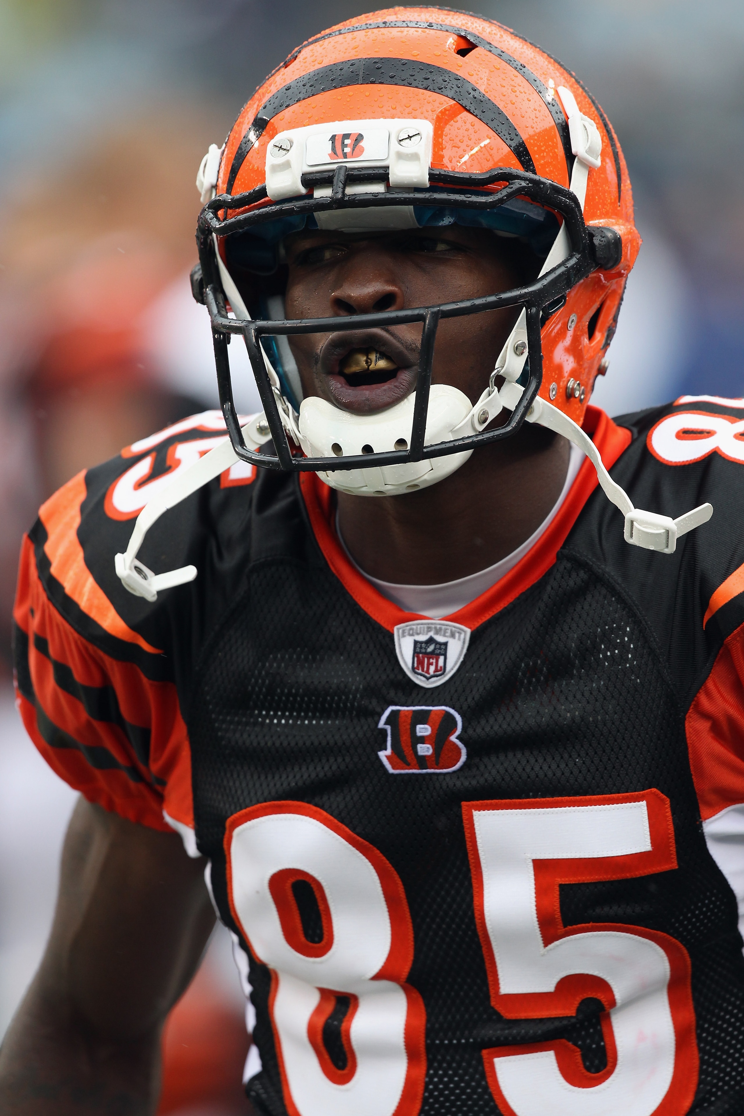 CHARLOTTE, NC - SEPTEMBER 26:  Chad Ochocinco #85 of the Cincinnati Bengals reacts against the Carolina Panthers during their game at Bank of America Stadium on September 26, 2010 in Charlotte, North Carolina.  (Photo by Streeter Lecka/Getty Images)