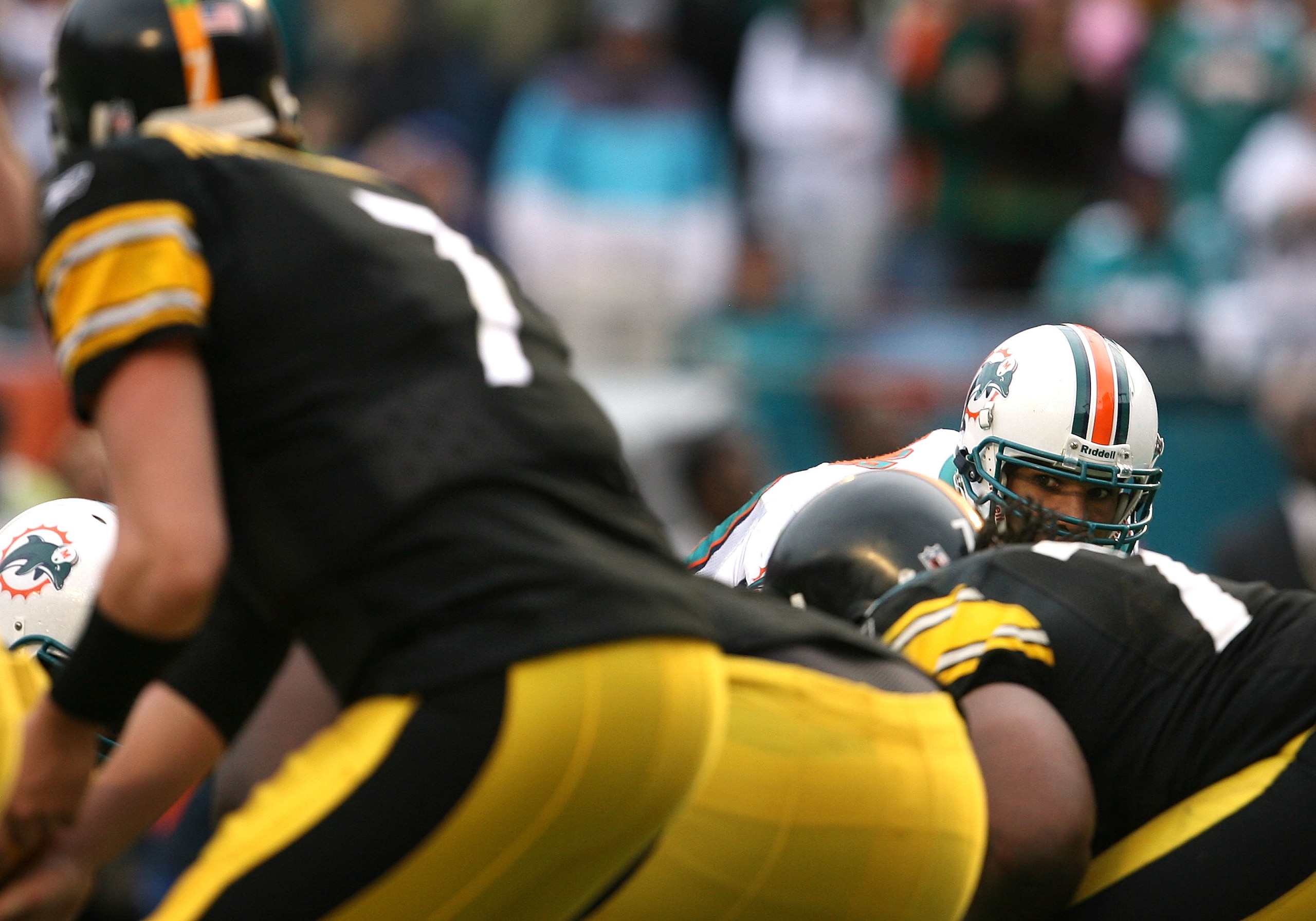 MIAMI - JANUARY 03:  Linebacker Jason Taylor #99 of the Miami Dolphins looks in as quarterback Ben Roethlisberger #7 of the Pittsburgh Steelers calls out a play at the line of scrimmage at Land Shark Stadium on January 3, 2010 in Miami, Florida. The Steel