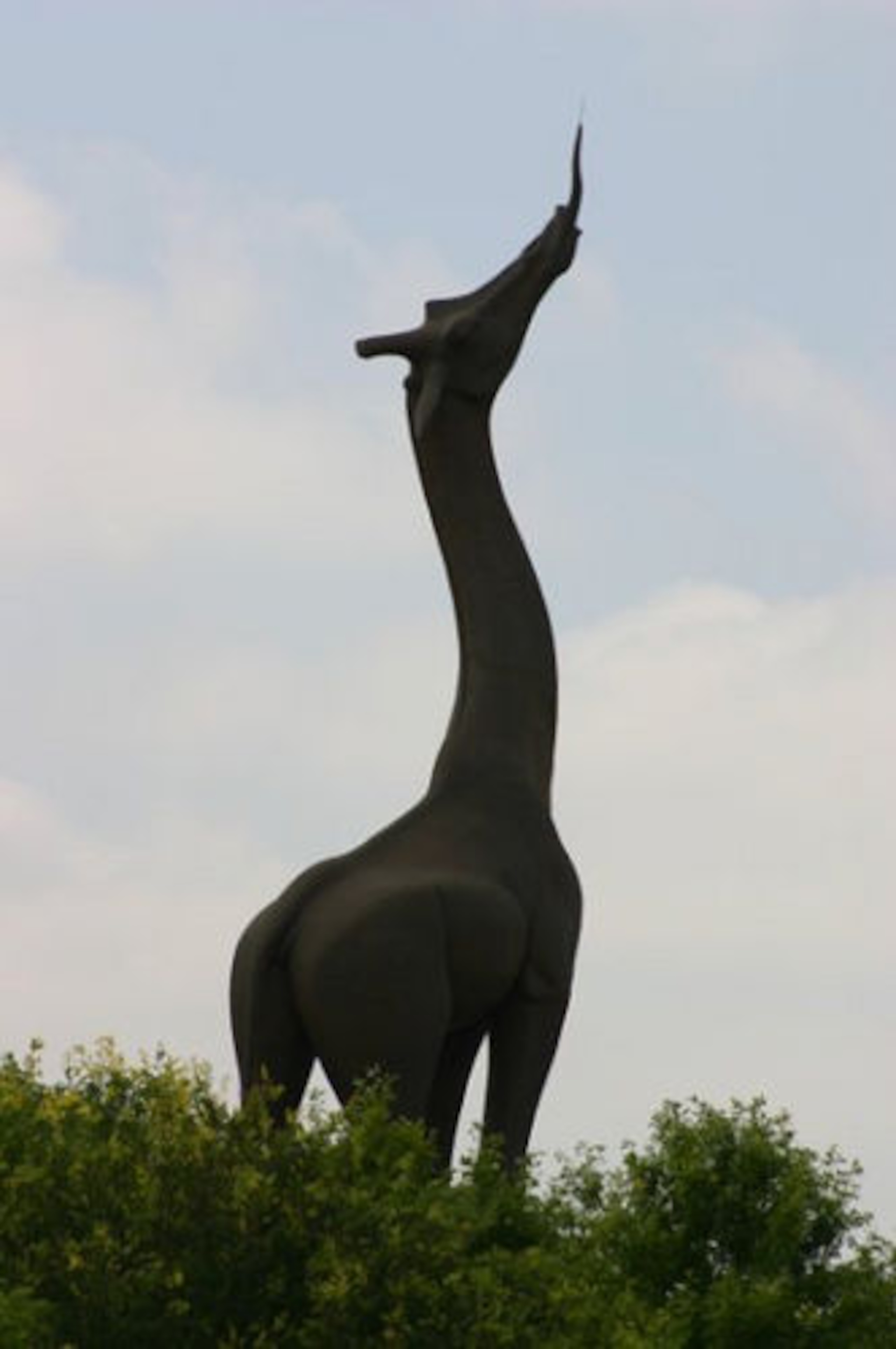 Visit the Dallas Zoo to see a giant giraffe statue.