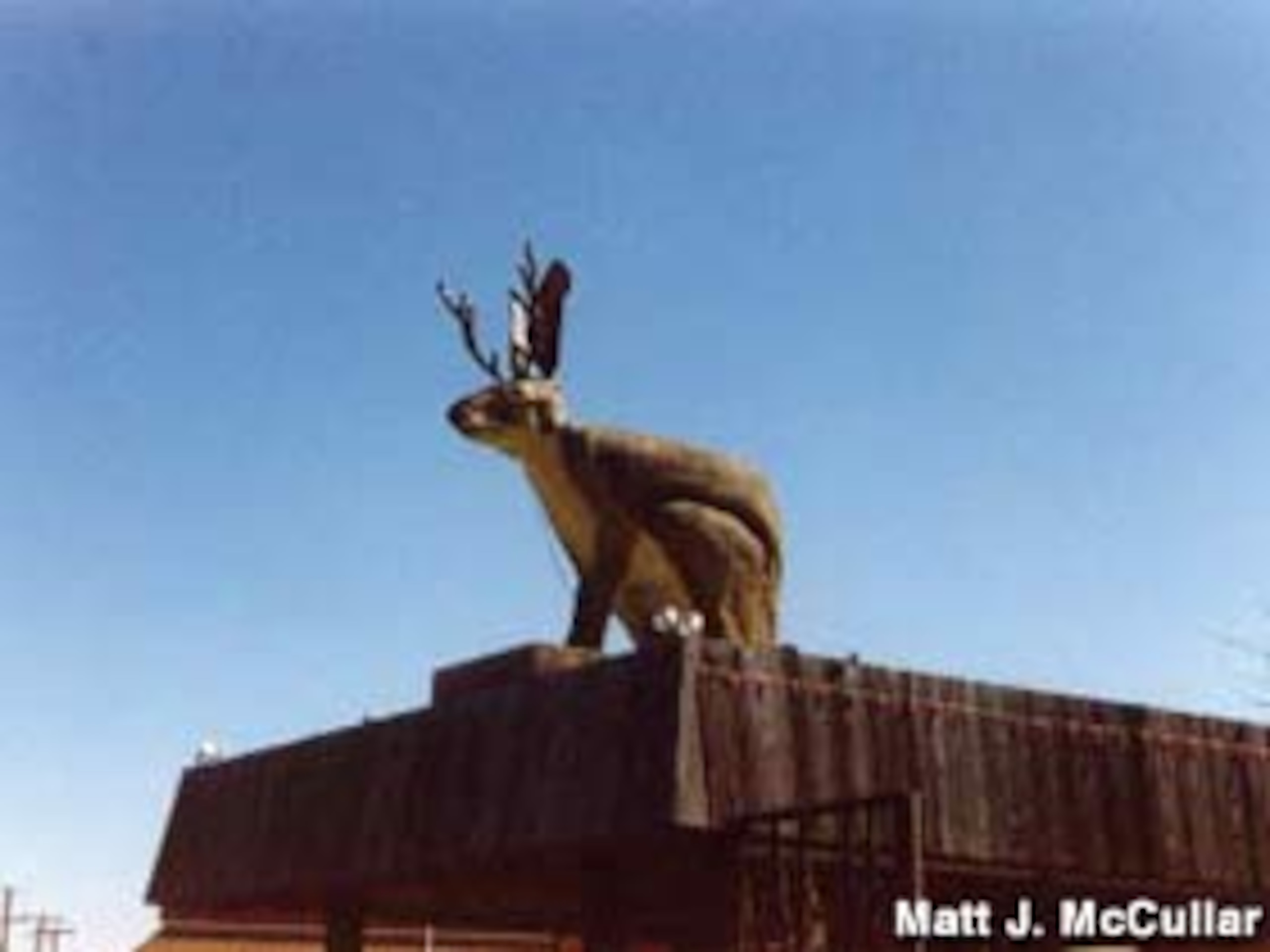 ...turn right at the giant jackalope...