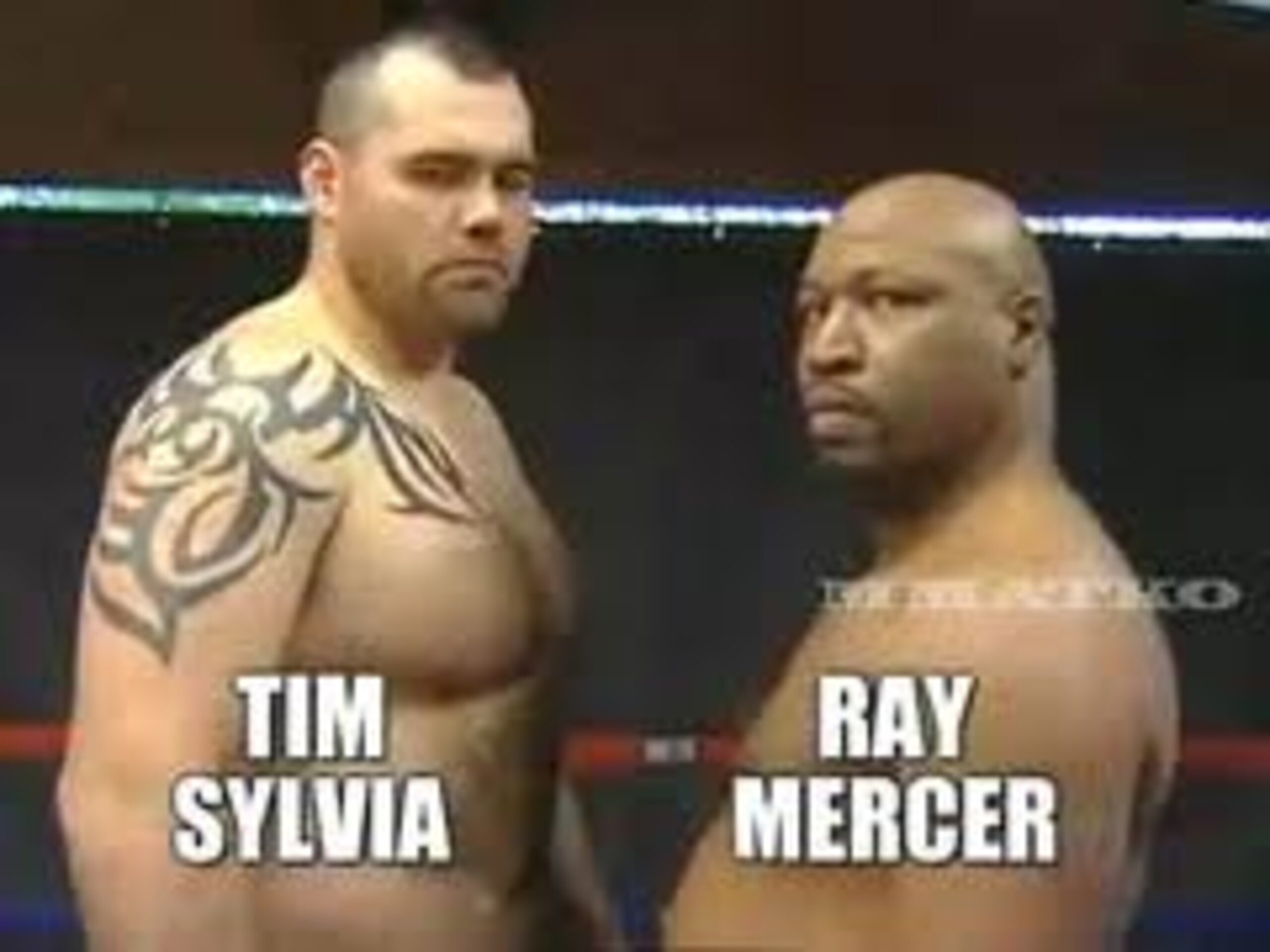 Tim Sylvia vs. Ray Mercer