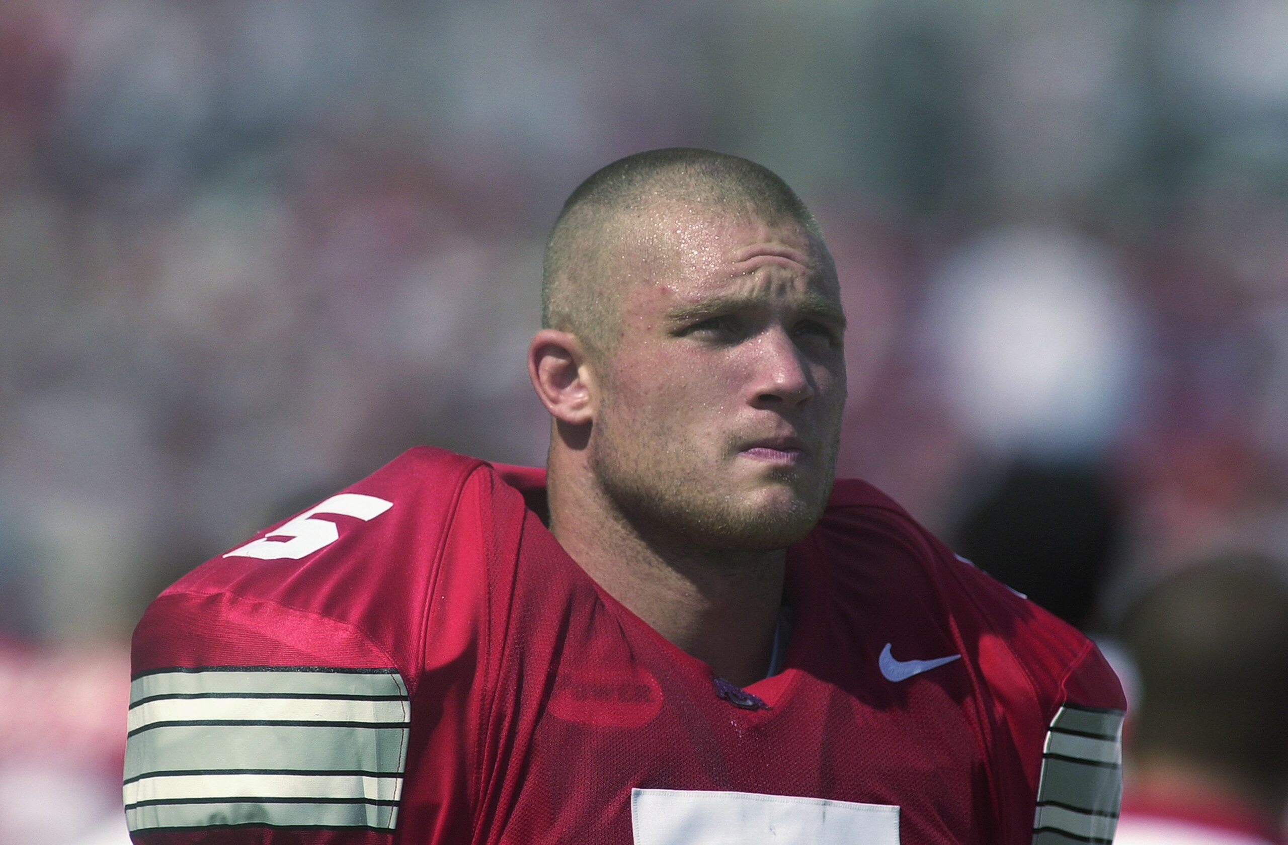 COLUMBUS, OH - AUGUST 24: Linebacker Mike D'Andrea #5 of the Ohio State Buckeyes stands on the sideline during the NCAA Pigskin Classic against the Texas Tech Red Raiders on August 24, 2002 at Ohio Stadium in Columbus, Ohio. Ohio State defeated Texas Tec COLUMBUS, OH - AUGUST 24: Linebacker Mike D'Andrea #5 of the Ohio State Buckeyes stands on the sideline during the NCAA Pigskin Classic against the Texas Tech Red Raiders on August 24, 2002 at Ohio Stadium in Columbus, Ohio. Ohio State defeated Texas Tec