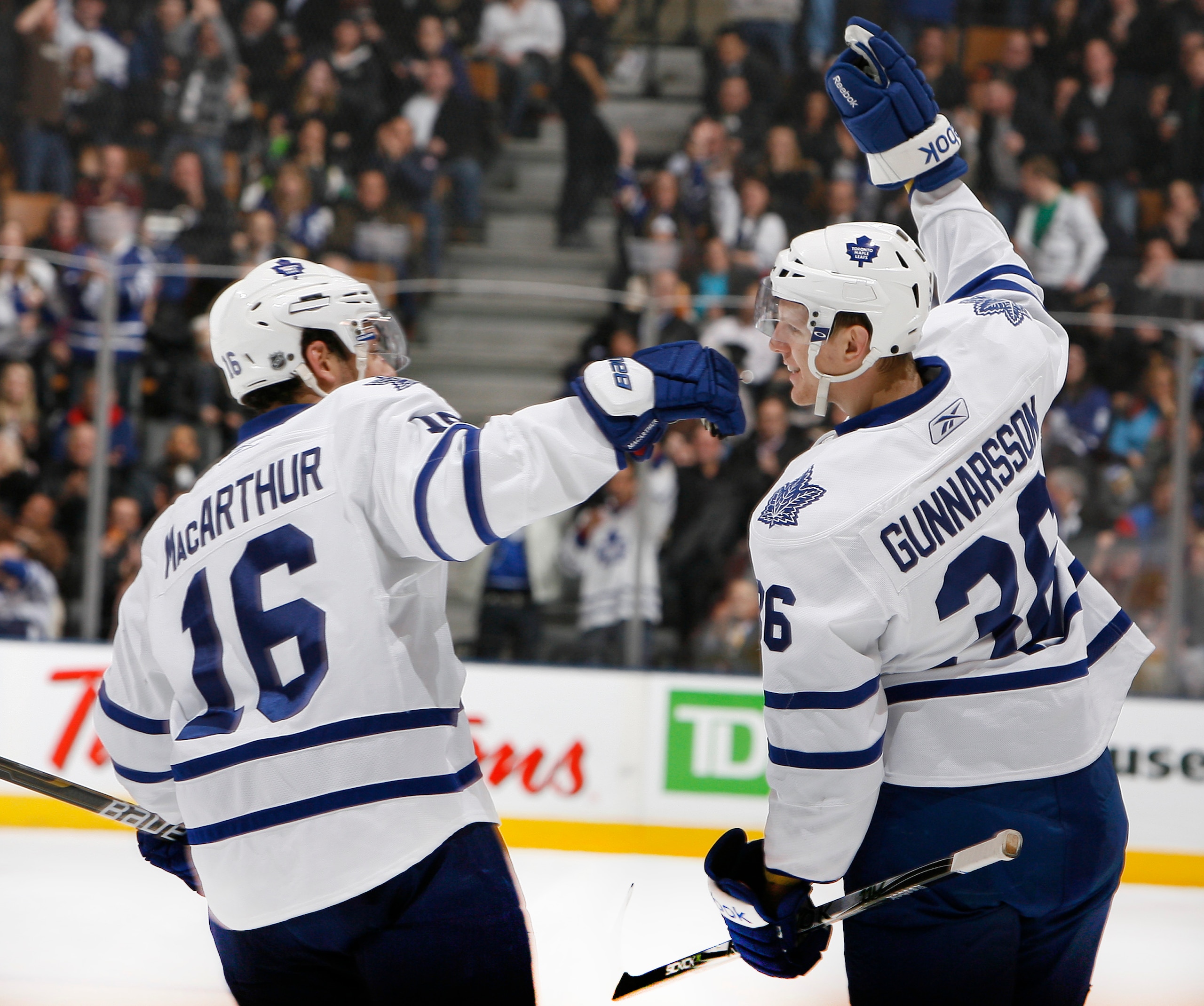 TORONTO, CANADA - JANUARY 20: Clarke MacArthur #16 and Carl Gunnarsson #36 of the Toronto Maple Leafs celebrate Carl Gunnarsson goal against the Anaheim Ducks during game action at the Air Canada Centre January 20, 2011 in Toronto, Ontario, Canada. (Photo TORONTO, CANADA - JANUARY 20: Clarke MacArthur #16 and Carl Gunnarsson #36 of the Toronto Maple Leafs celebrate Carl Gunnarsson goal against the Anaheim Ducks during game action at the Air Canada Centre January 20, 2011 in Toronto, Ontario, Canada. (Photo