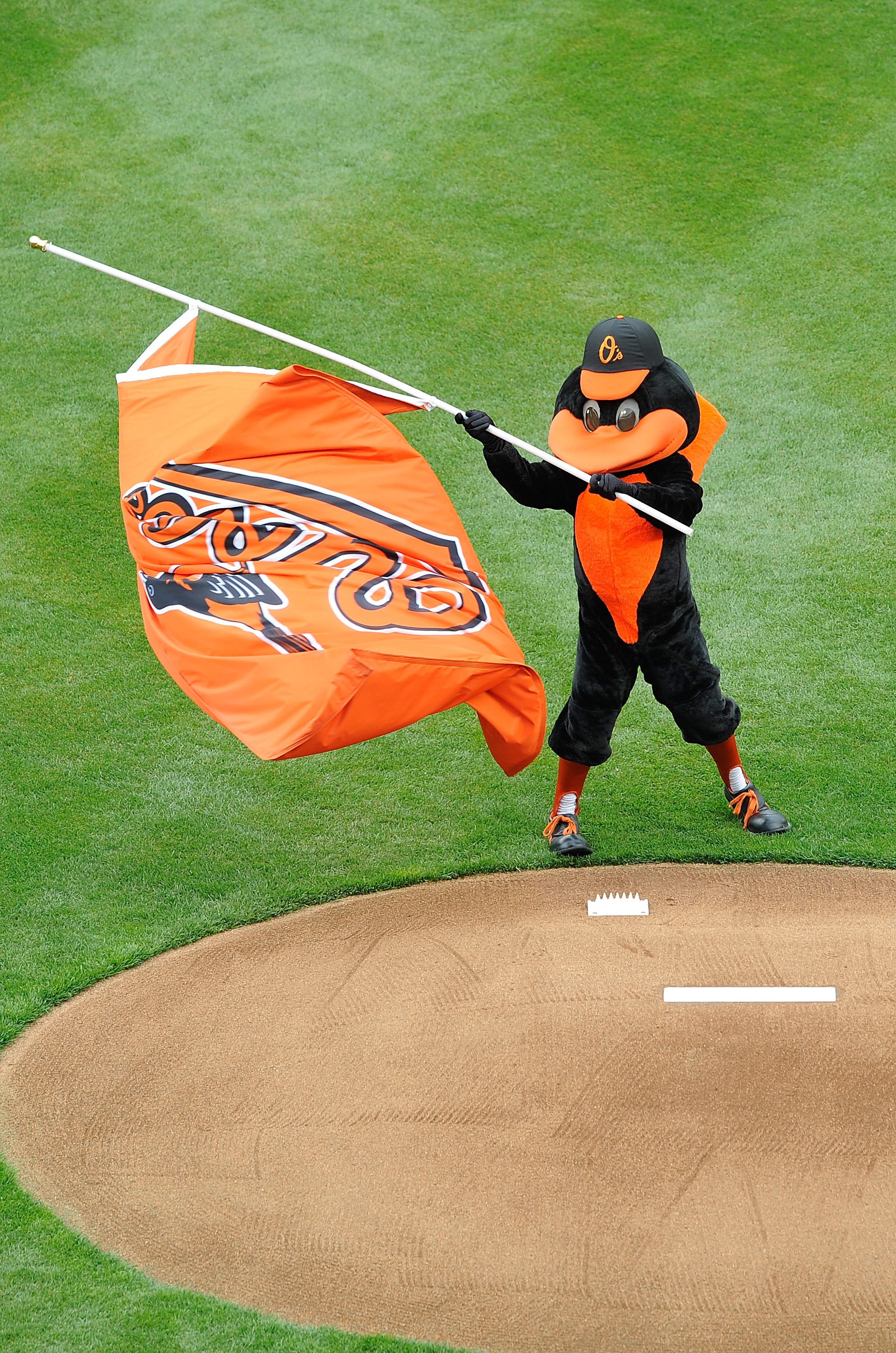 BALTIMORE - APRIL 06:  The Orioles Mascot carries a flag before the game between the Baltimore Orioles and the New York Yankees during opening day on April 6, 2009 at Camden Yards in Baltimore, Maryland.  (Photo by Greg Fiume/Getty Images)