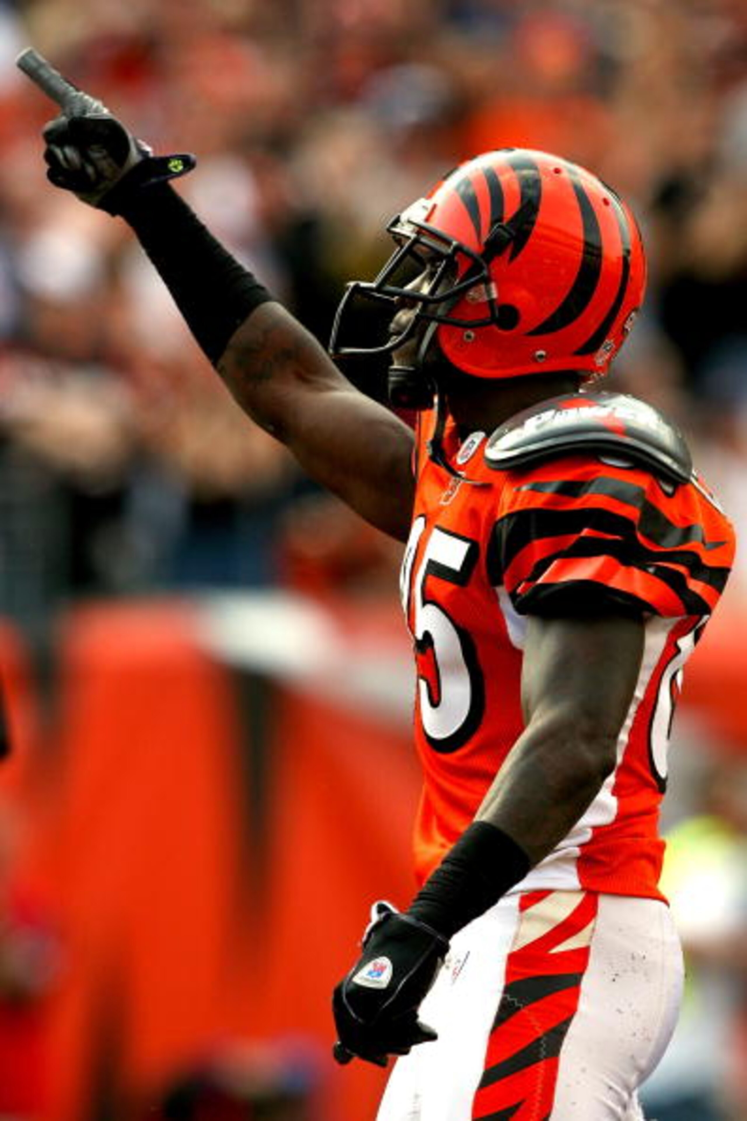 CINCINNATI - NOVEMBER 02: Chad Johnson #85 of the Cincinnati Bengals celebrates a touchdown against the Jacksonville Jaguars at Paul Brown Stadium November 2, 2008 in Cincinnati, Ohio.  (Photo by Matthew Stockman/Getty Images)