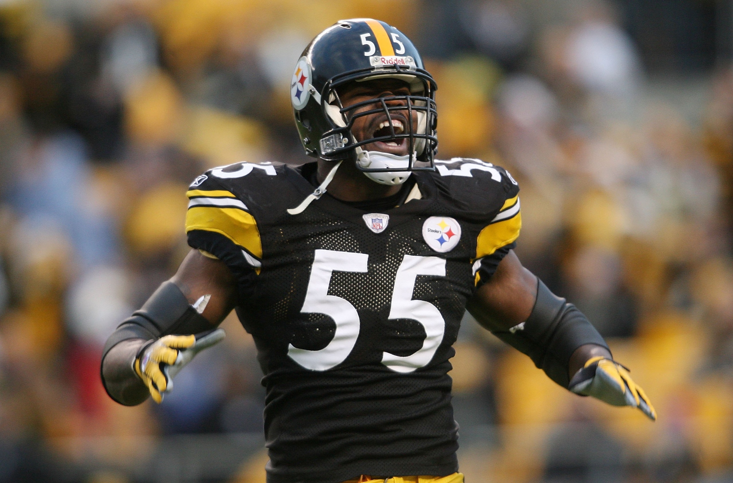 PITTSBURGH - DECEMBER 03:  Joey Porter #55 of the Pittsburgh Steelers celebrates a sack against the Tampa Bay Buccaneers at Heinz Field on December 3, 2006 in Pittsburgh, Pennsylvania.  (Photo by Nick Laham/Getty Images)