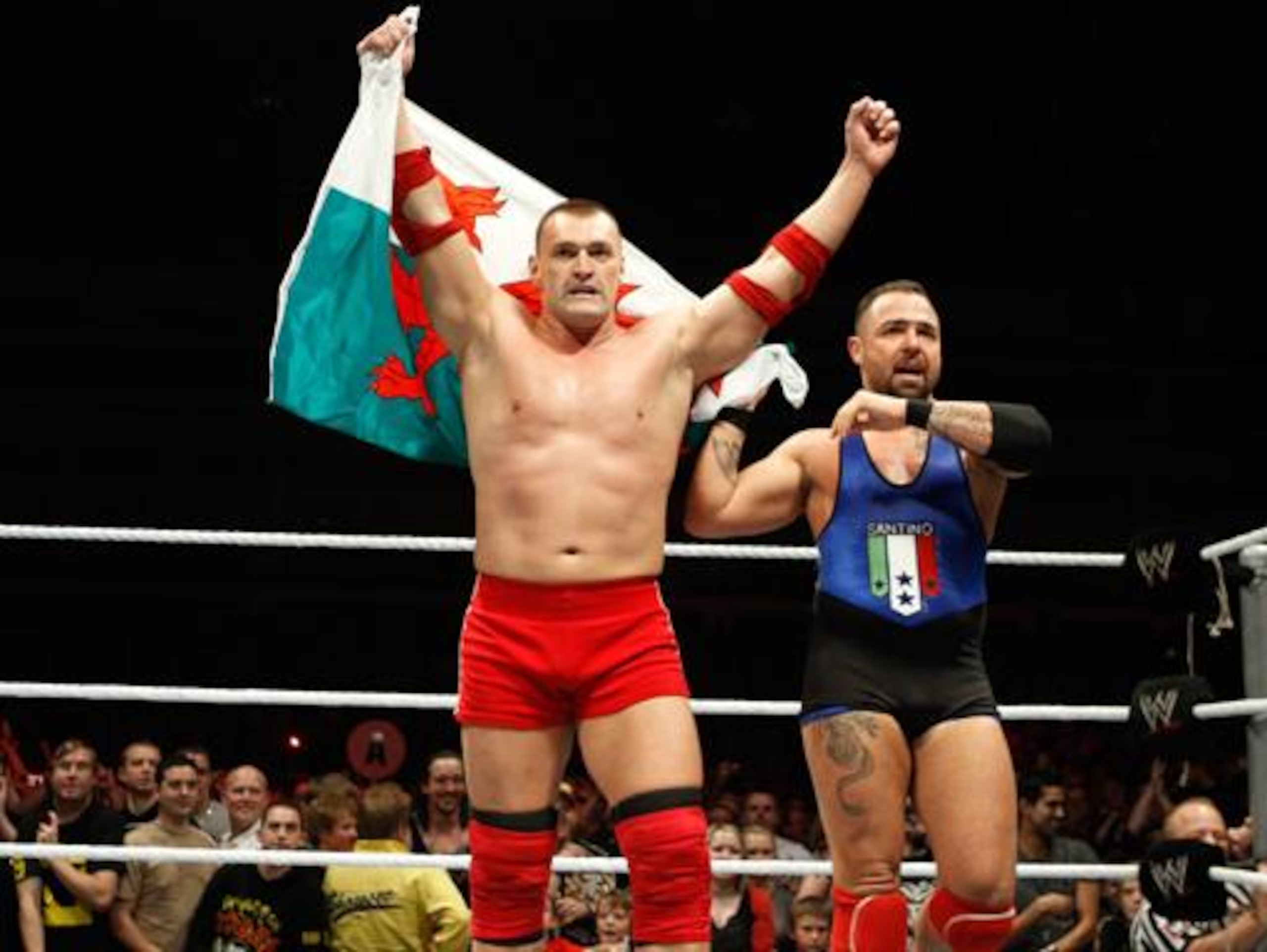 Did you realize that this is actually the Welsh flag?