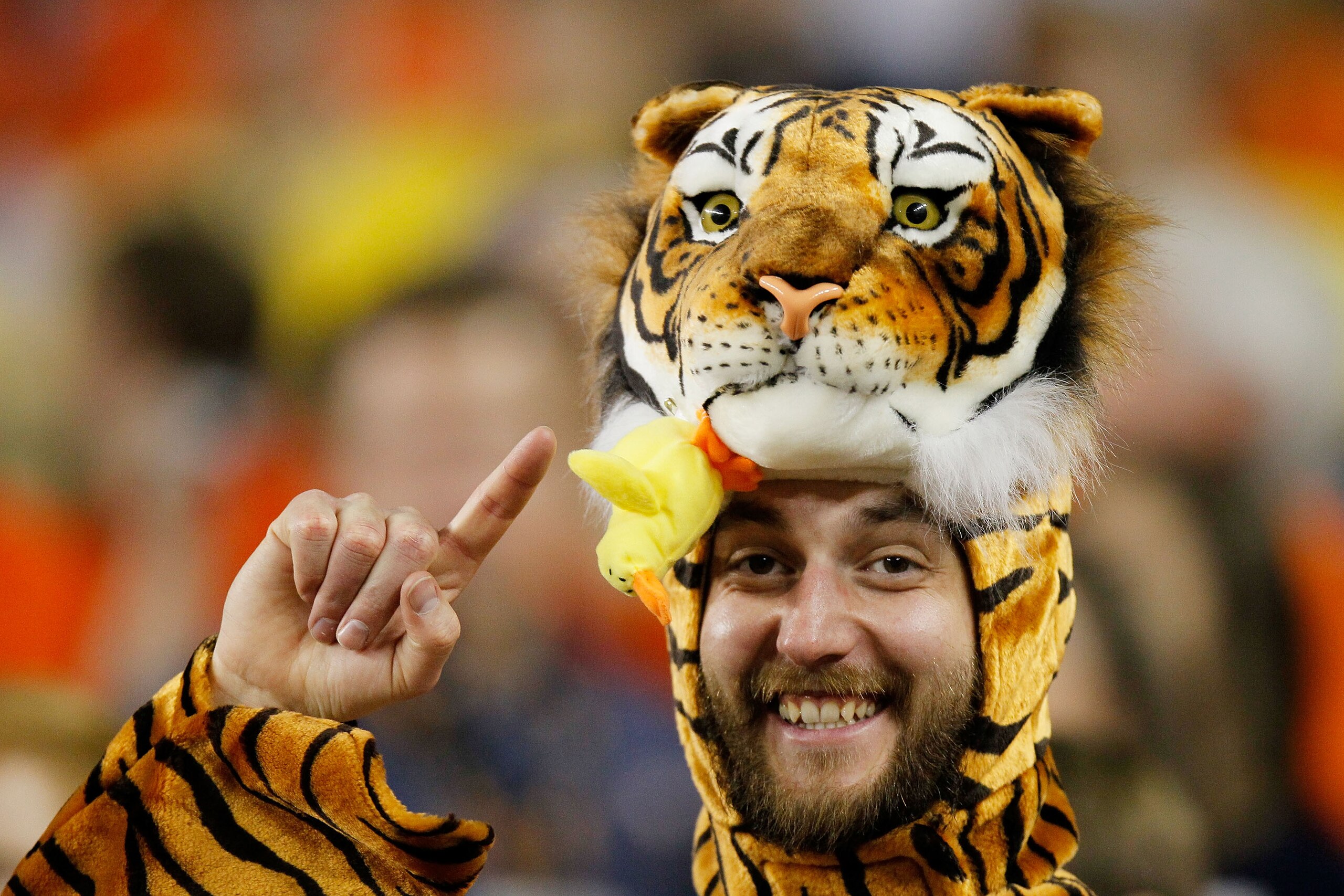 GLENDALE, AZ - JANUARY 10:  An Auburn Tigers fan attends their the Tostitos BCS National Championship Game against the Oregon Ducks at University of Phoenix Stadium on January 10, 2011 in Glendale, Arizona.  (Photo by Kevin C. Cox/Getty Images)