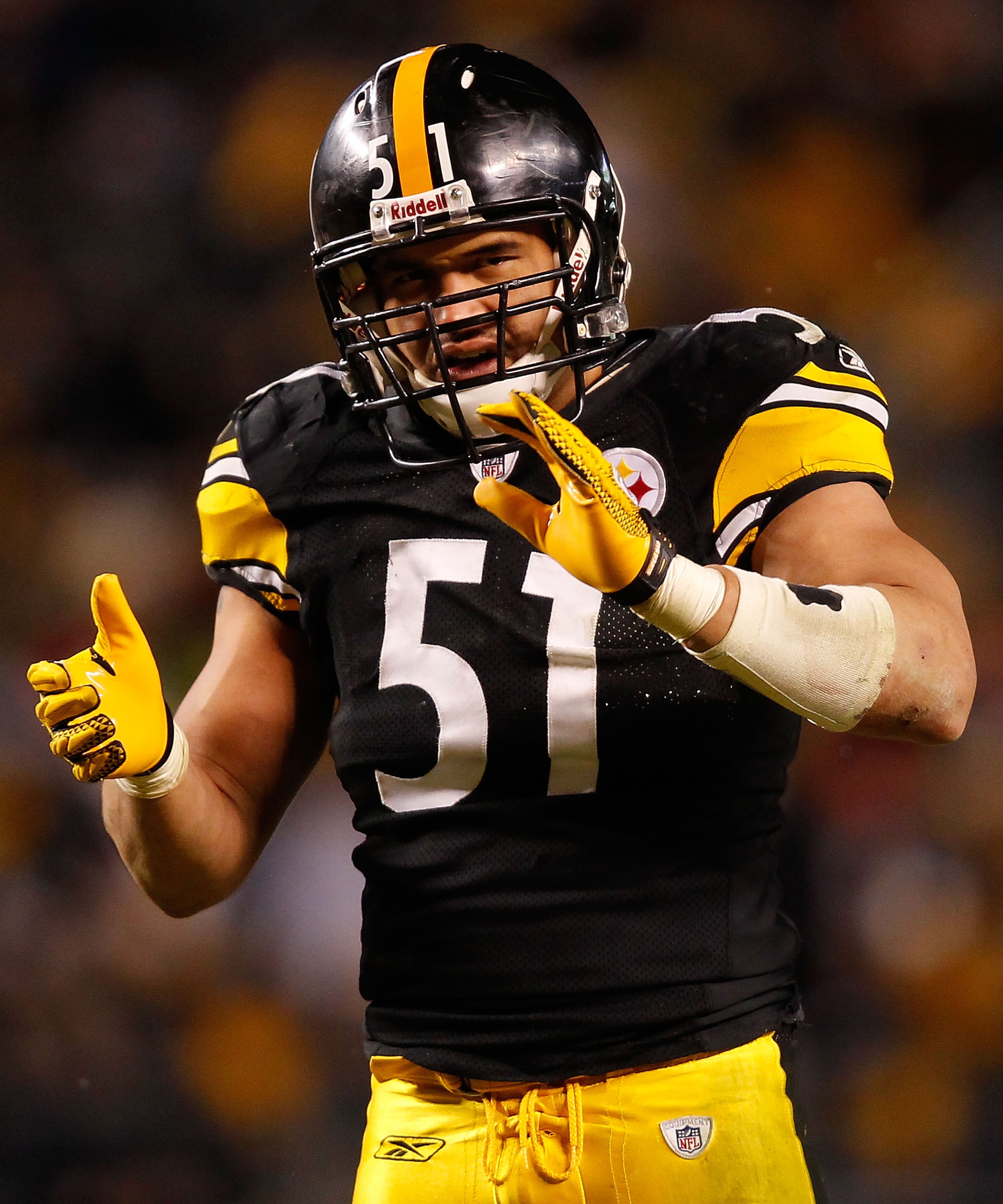 PITTSBURGH - DECEMBER 23:  James Farrior #51 of the Pittsburgh Steelers pumps up the crowd during the game against the Carolina Panthers on December 23, 2010 at Heinz Field in Pittsburgh, Pennsylvania.  (Photo by Jared Wickerham/Getty Images)