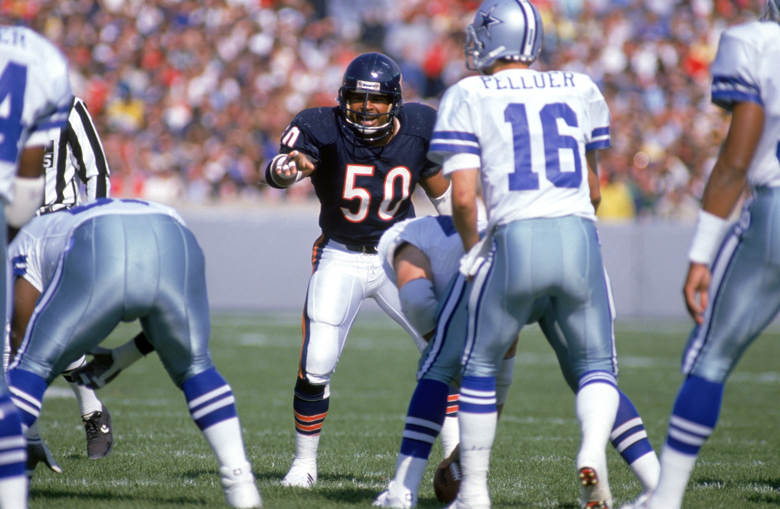 CHICAGO - 1986:  Linebacker Mike Singletary #50 of the Chicago Bears points as he looks over the Dallas Cowboys offense during a game in 1986 at Soldier Field Stadium in Chicago, Illinois.  The Bears won 17-7.  (Photo by Jonathan Daniel/Getty Images)