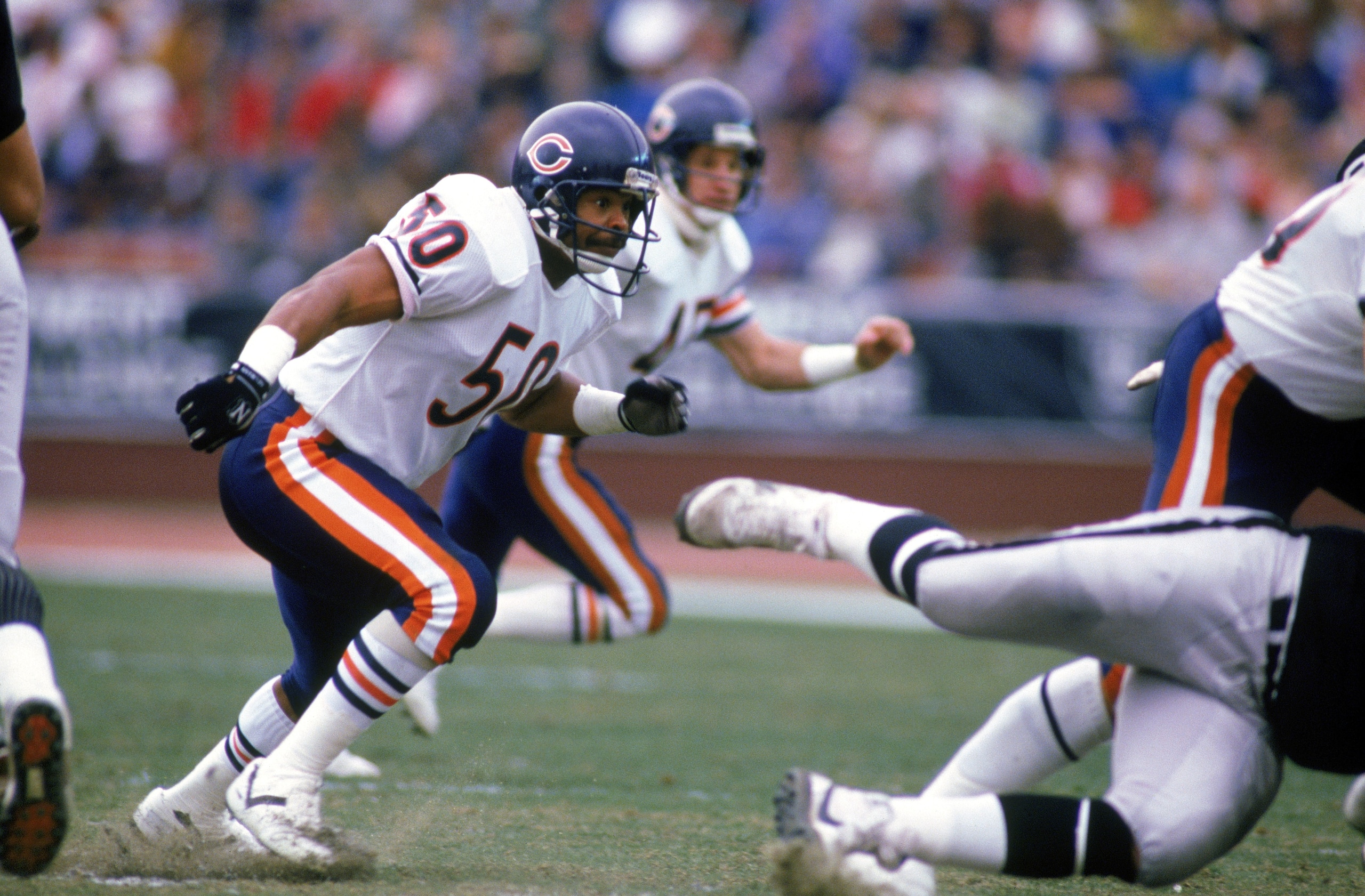 LOS ANGELES - 1987:  Linebacker Mike Singletary #50 of the Chicago Bears runs during a game against the Los Angeles Raiders in 1987 at Los Angeles Memorial Coliseum in Los Angeles, California.  The Bears won 6-3.  (Photo by Stephen Dunn/Getty Images)
