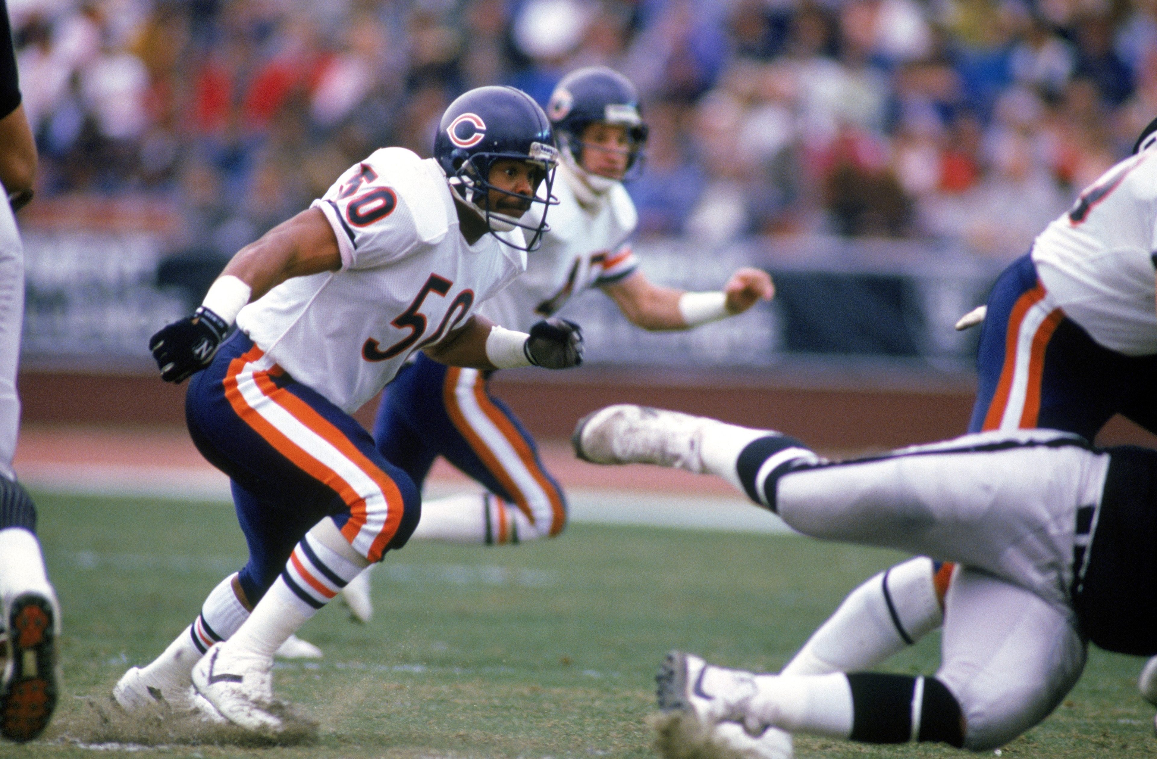 LOS ANGELES - 1987: Linebacker Mike Singletary #50 of the Chicago Bears runs during a game against the Los Angeles Raiders in 1987 at Los Angeles Memorial Coliseum in Los Angeles, California. The Bears won 6-3. (Photo by Stephen Dunn/Getty Images) LOS ANGELES - 1987: Linebacker Mike Singletary #50 of the Chicago Bears runs during a game against the Los Angeles Raiders in 1987 at Los Angeles Memorial Coliseum in Los Angeles, California. The Bears won 6-3. (Photo by Stephen Dunn/Getty Images)