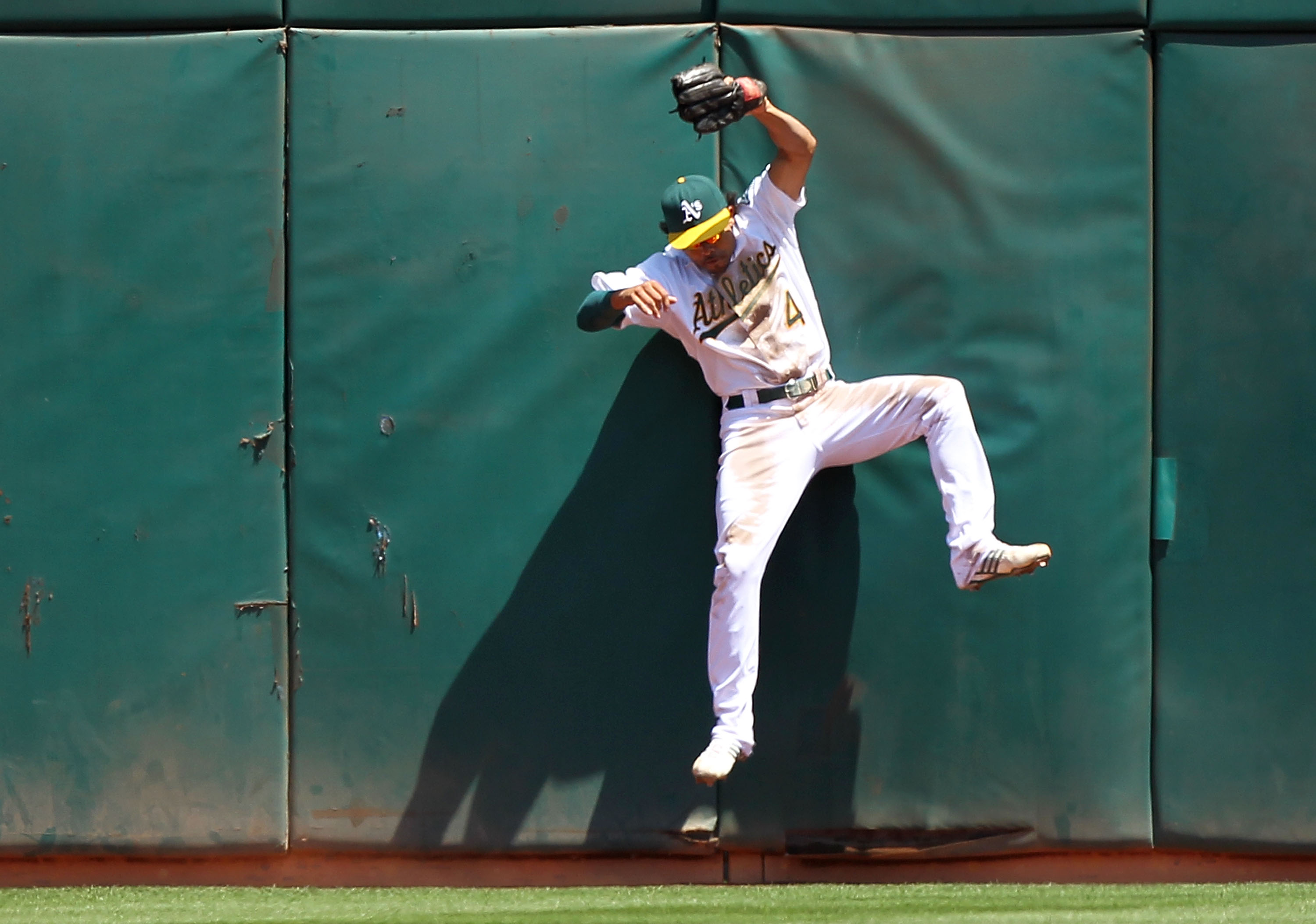 OAKLAND, CA - AUGUST 08:  Coco Crisp #4 of the Oakland Athletics catches a ball hit by Bengie Molina of the Texas Rangers during an MLB game at the Oakland-Alameda County Coliseum on August 8, 2010 in Oakland, California.  (Photo by Jed Jacobsohn/Getty Im