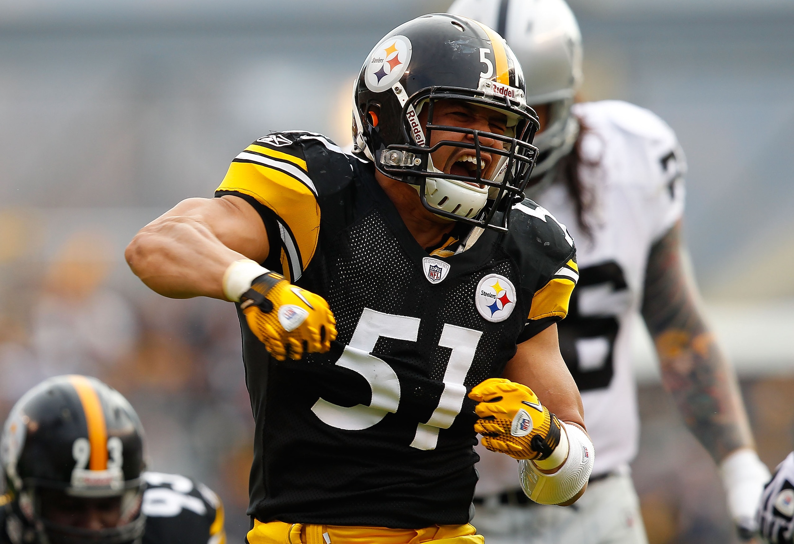 PITTSBURGH - NOVEMBER 21: James Farrior #51 of the Pittsburgh Steelers celebrates after sacking  Jason Campbell #8 of the Oakland Raiders during the game on November 21, 2010 at Heinz Field in Pittsburgh, Pennsylvania.  (Photo by Jared Wickerham/Getty Ima