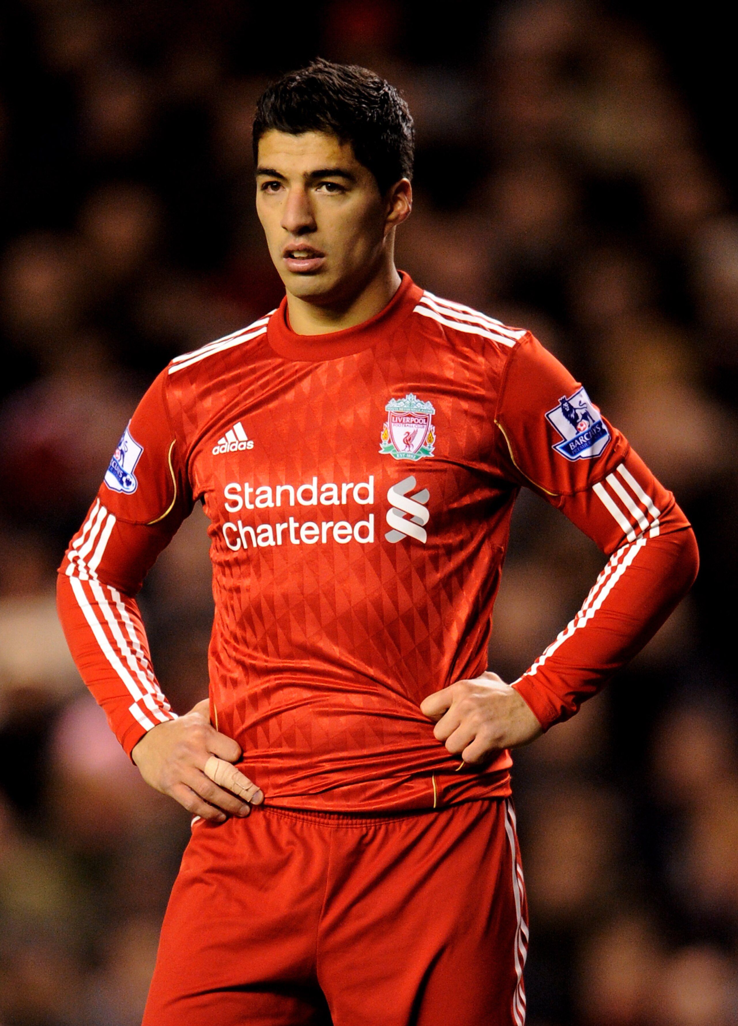 LIVERPOOL, ENGLAND - FEBRUARY 02:  Luis Suarez of Liverpool looks on during the Barclays Premier League match between Liverpool and Stoke City at Anfield on February 2, 2011 in Liverpool, England.  (Photo by Michael Regan/Getty Images)